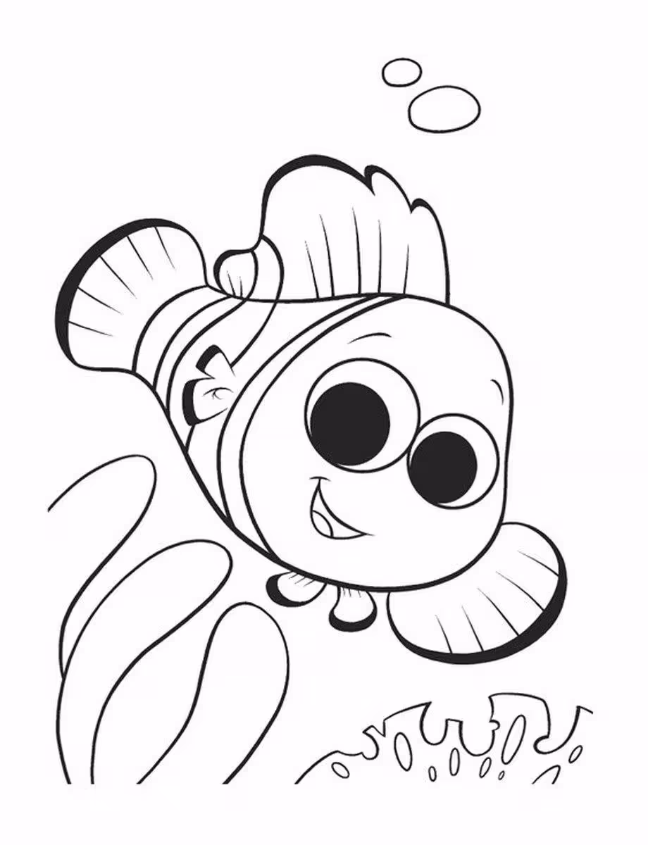Procurando nemo imprimir10 para colorir — desenho para imprimir