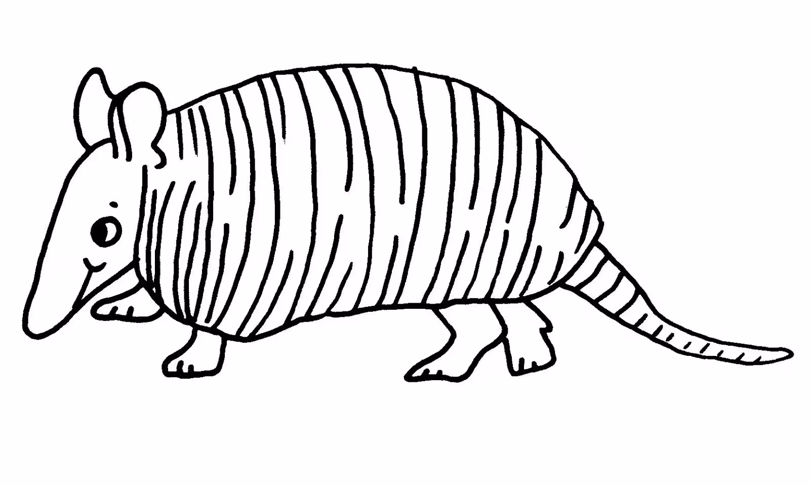 Tatu para colorir — desenho para imprimir