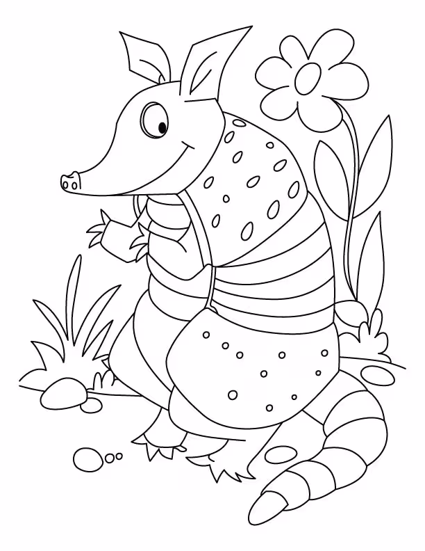 Tatu para colorir — desenho para imprimir