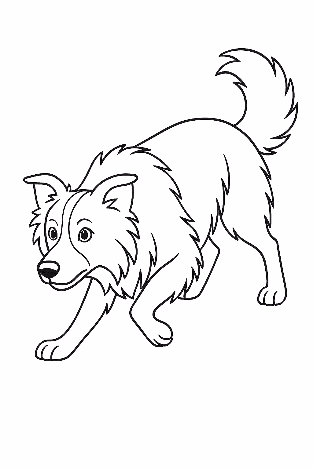 Cachorro border collie para colorir — desenho para imprimir