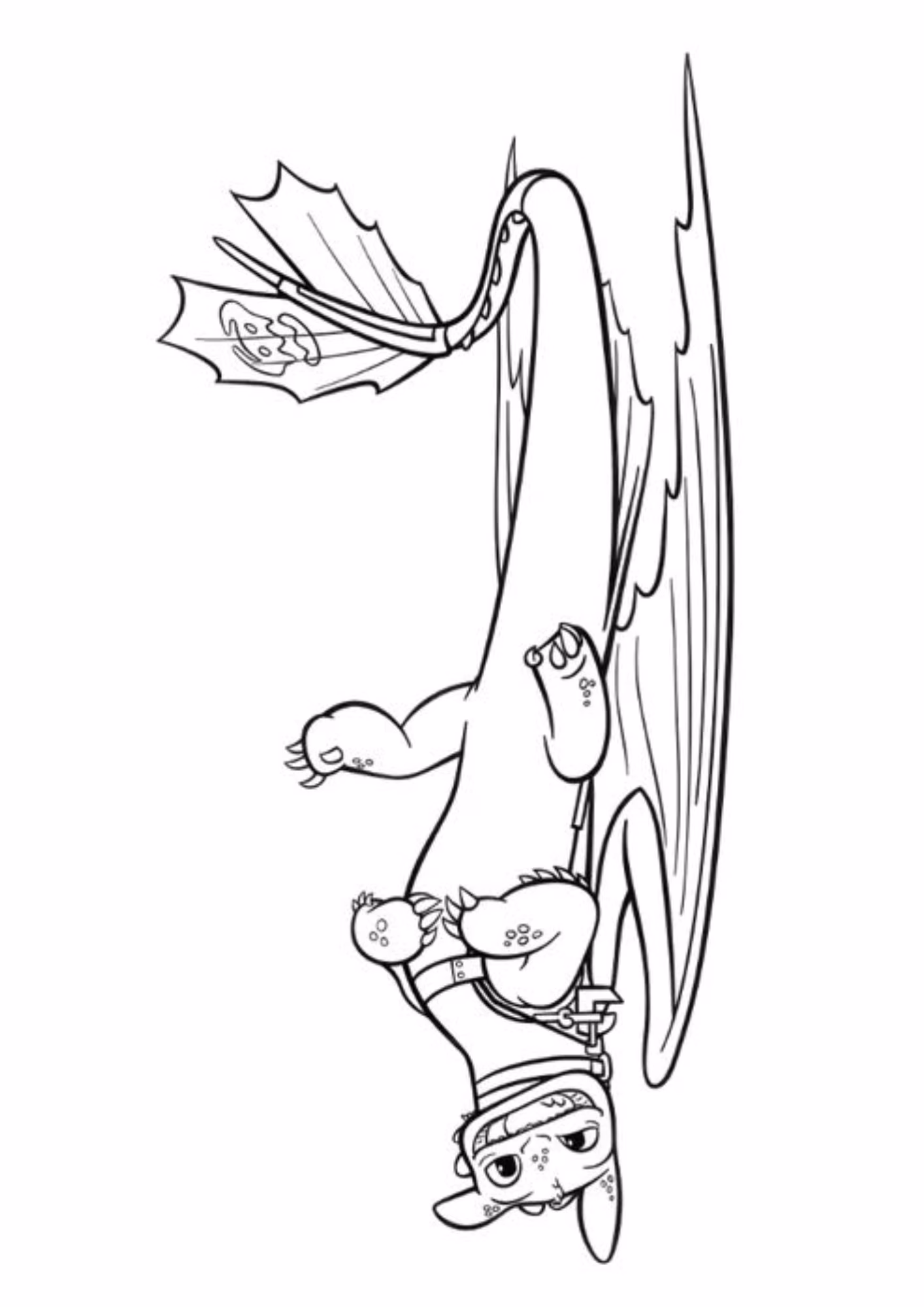 Como treinar seu dragao e para colorir — desenho para imprimir