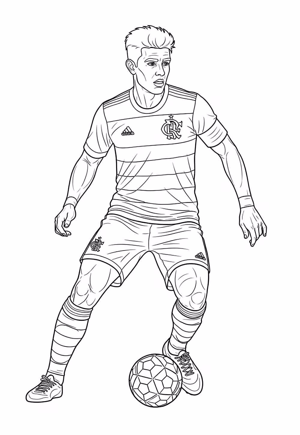Flamengo para colorir — desenho para imprimir