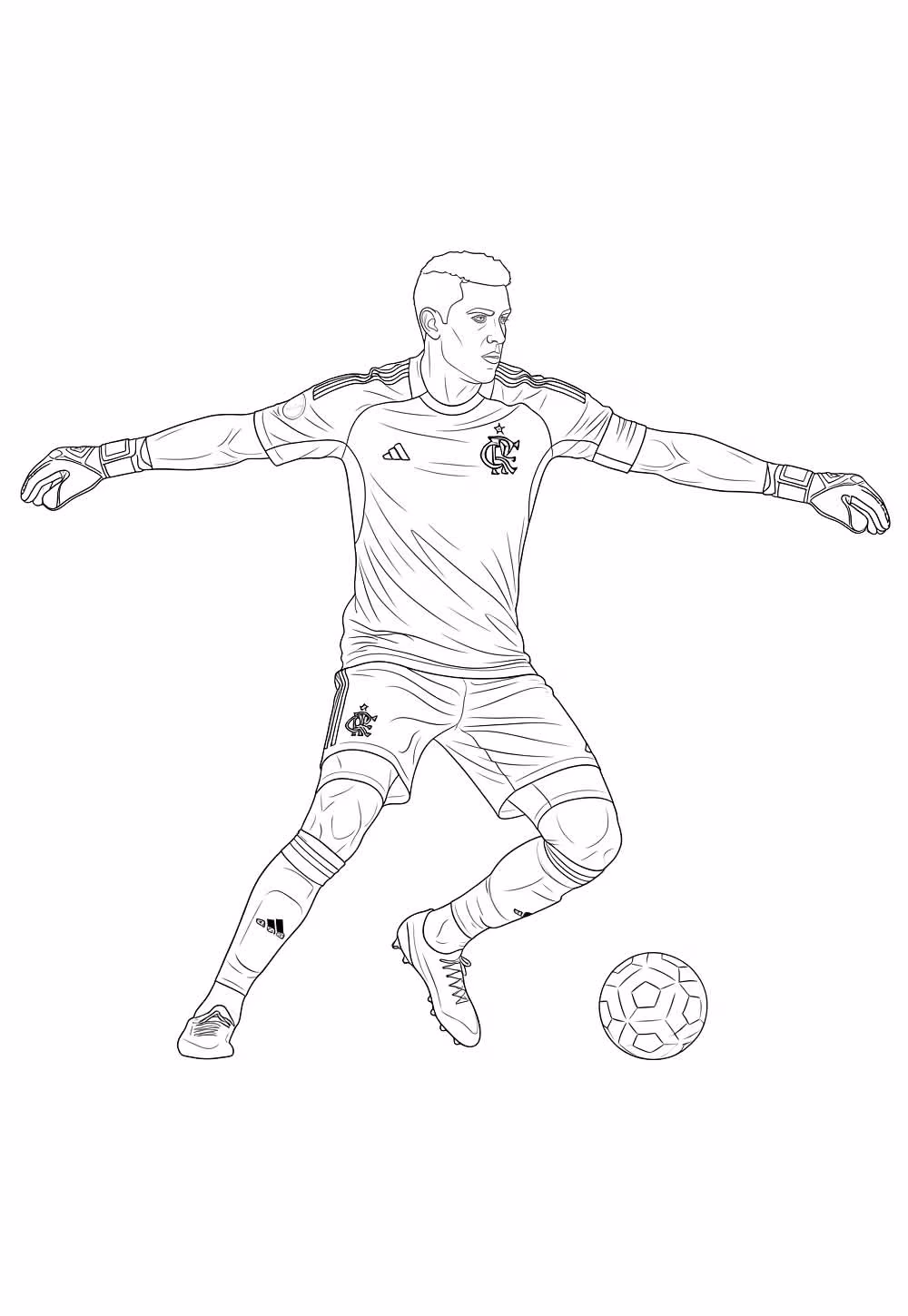 Flamengo para colorir — desenho para imprimir