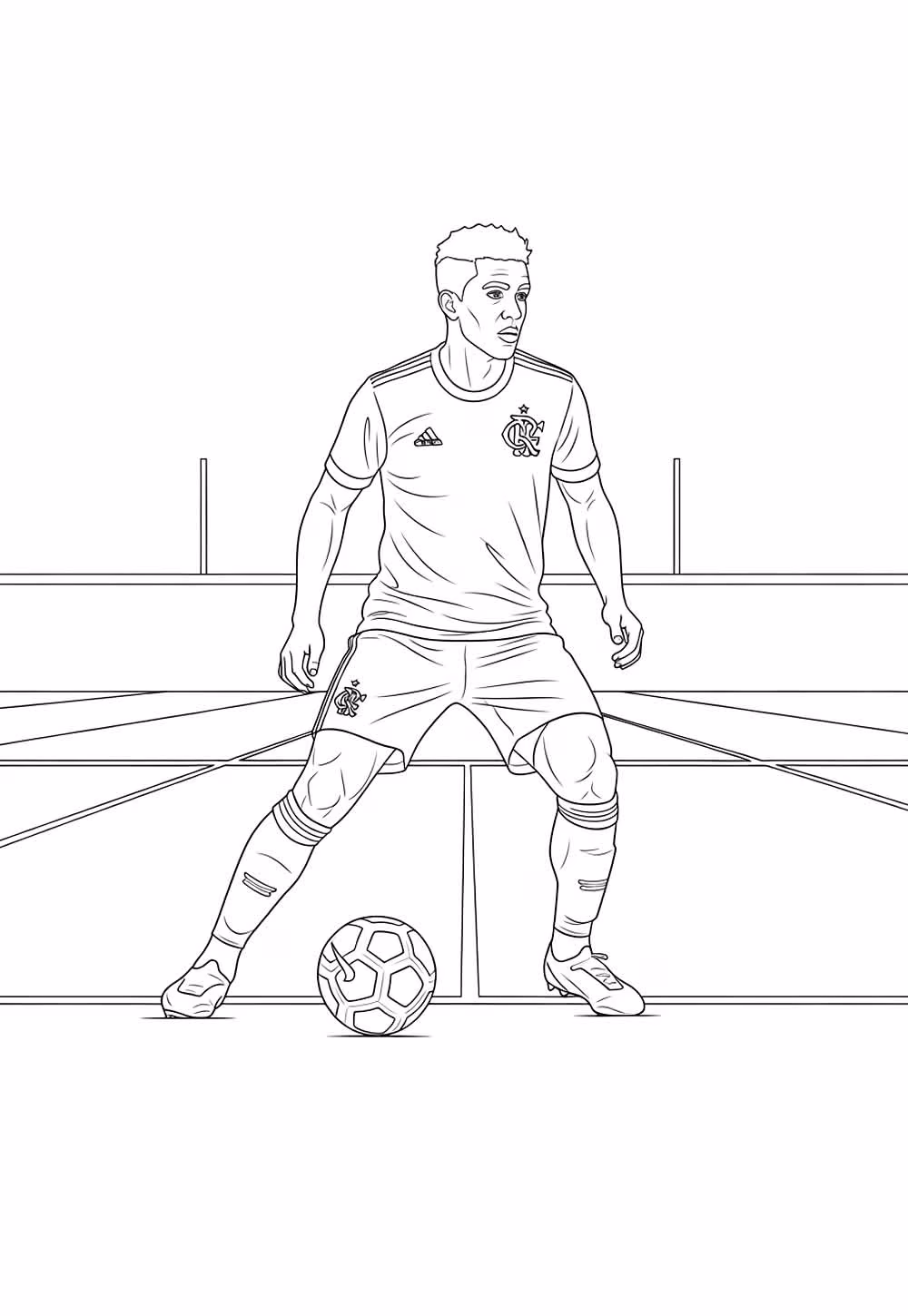 Flamengo para colorir — desenho para imprimir