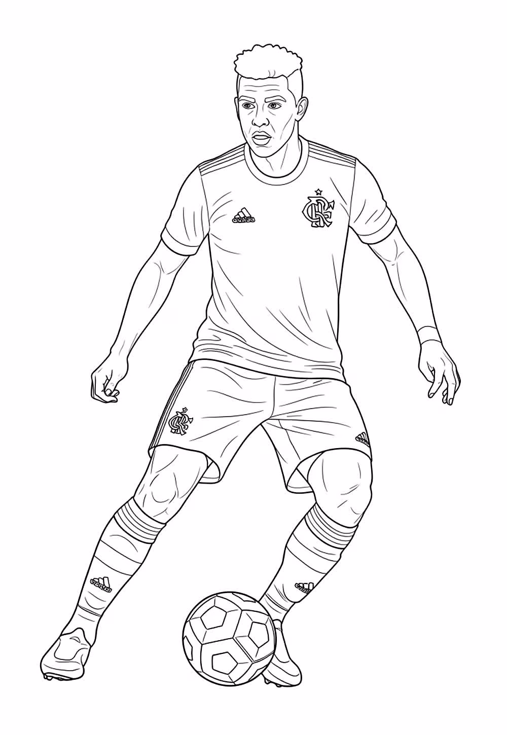 Flamengo para colorir — desenho para imprimir
