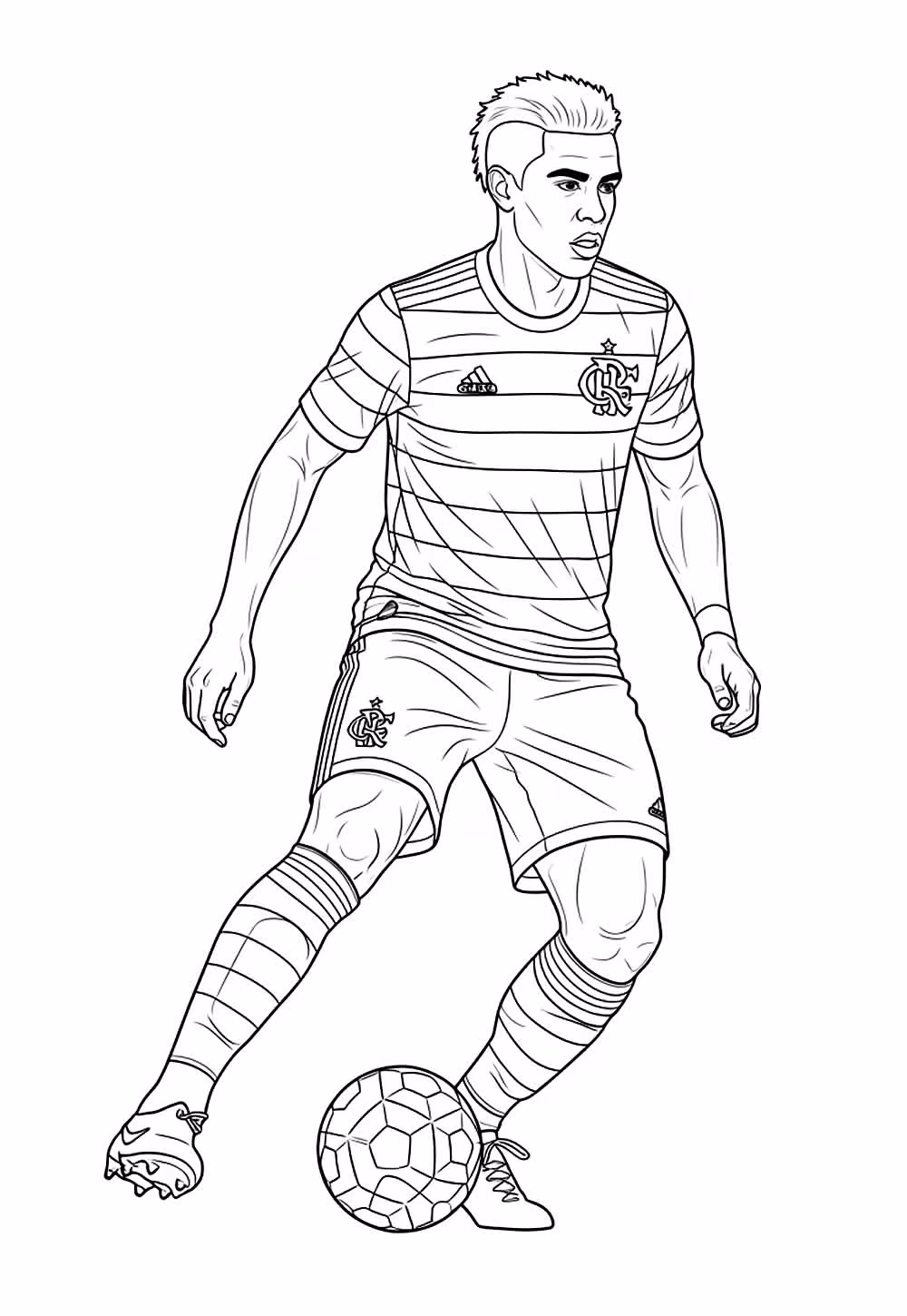 Flamengo para colorir — desenho para imprimir