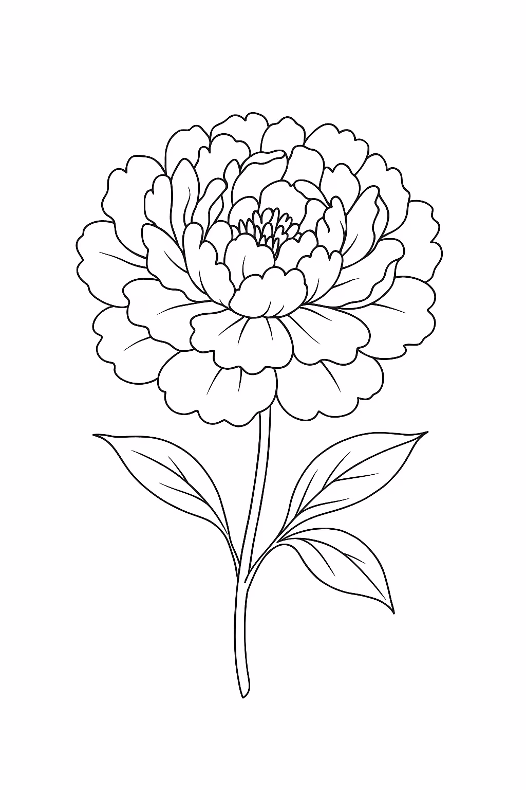 Flor peonia min para colorir — desenho para imprimir