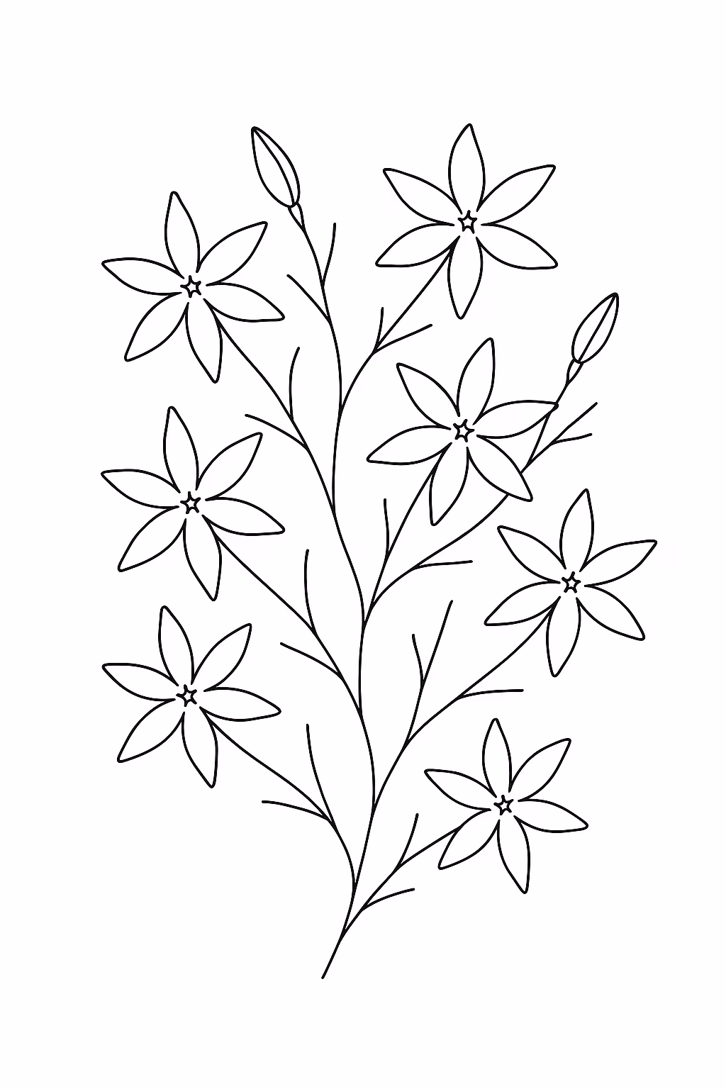 Flor jasmin min para colorir — desenho para imprimir