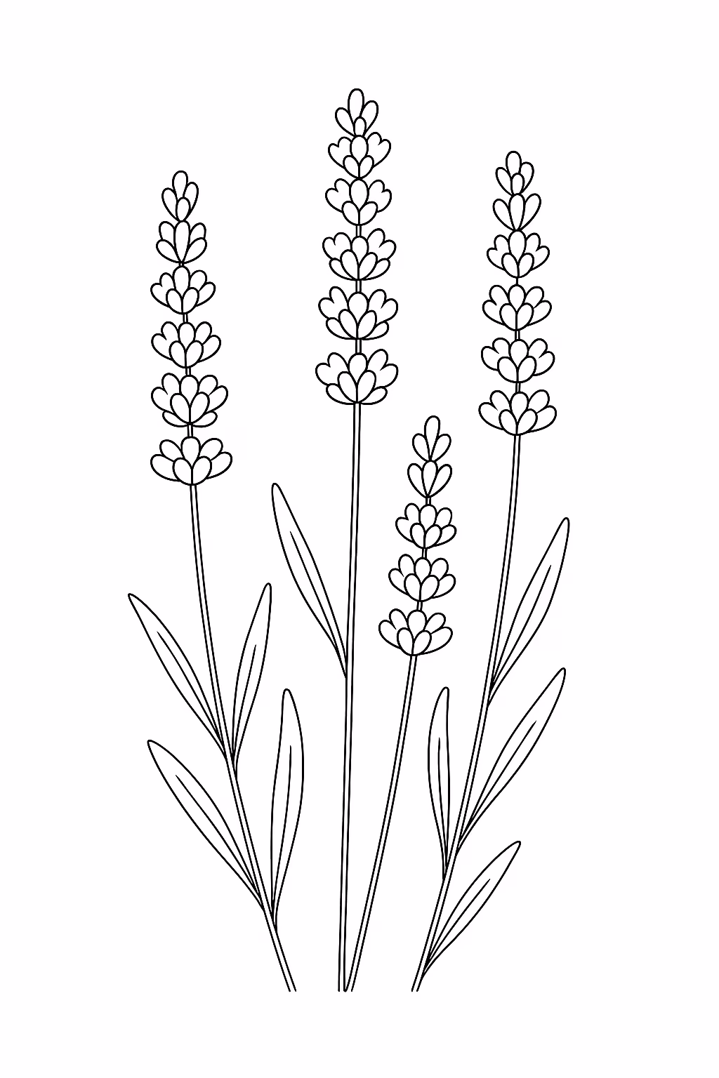 Flor lavanda min para colorir — desenho para imprimir