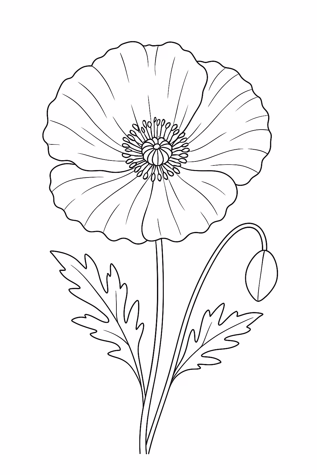 Flor poppy min para colorir — desenho para imprimir