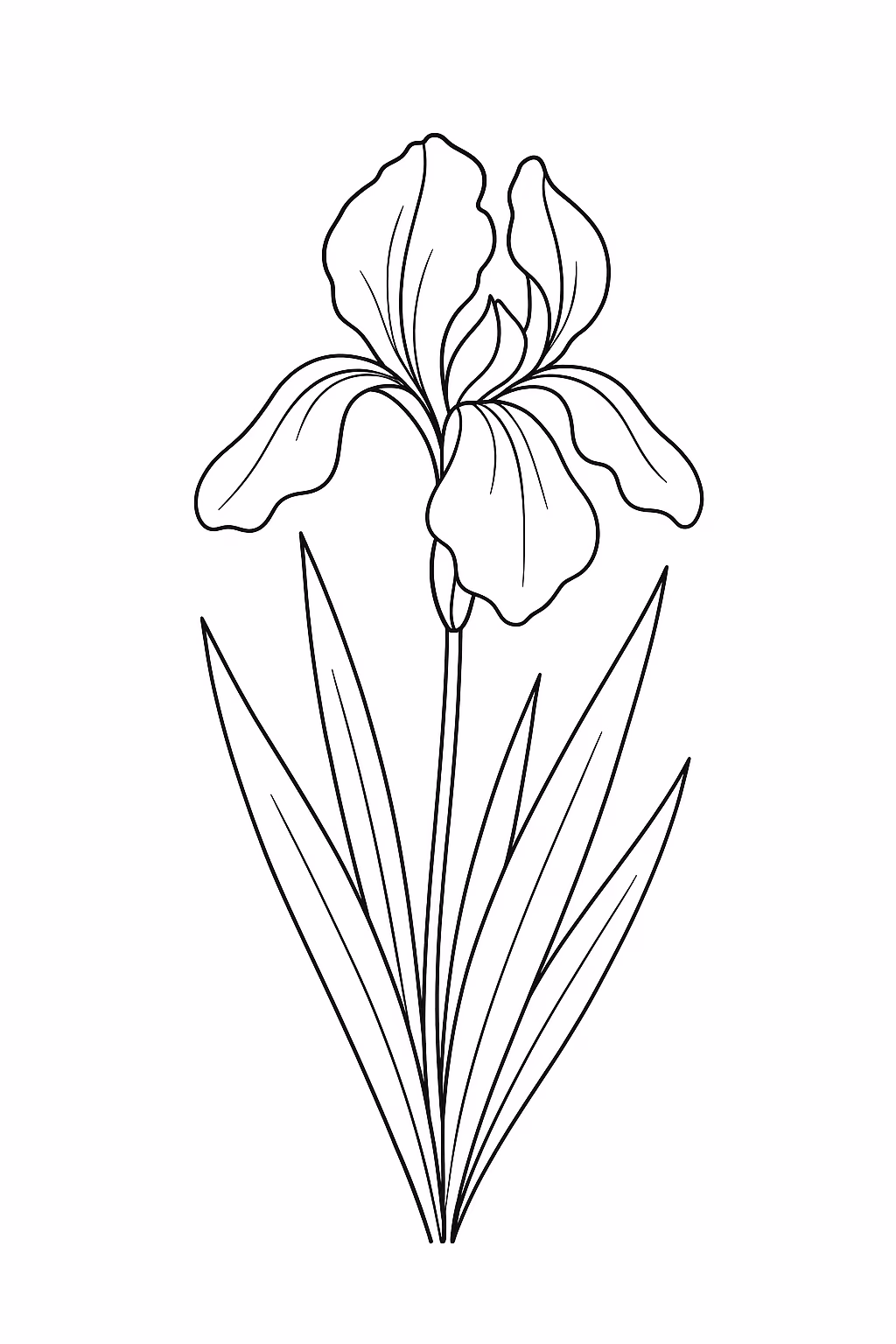Flor iris min para colorir — desenho para imprimir