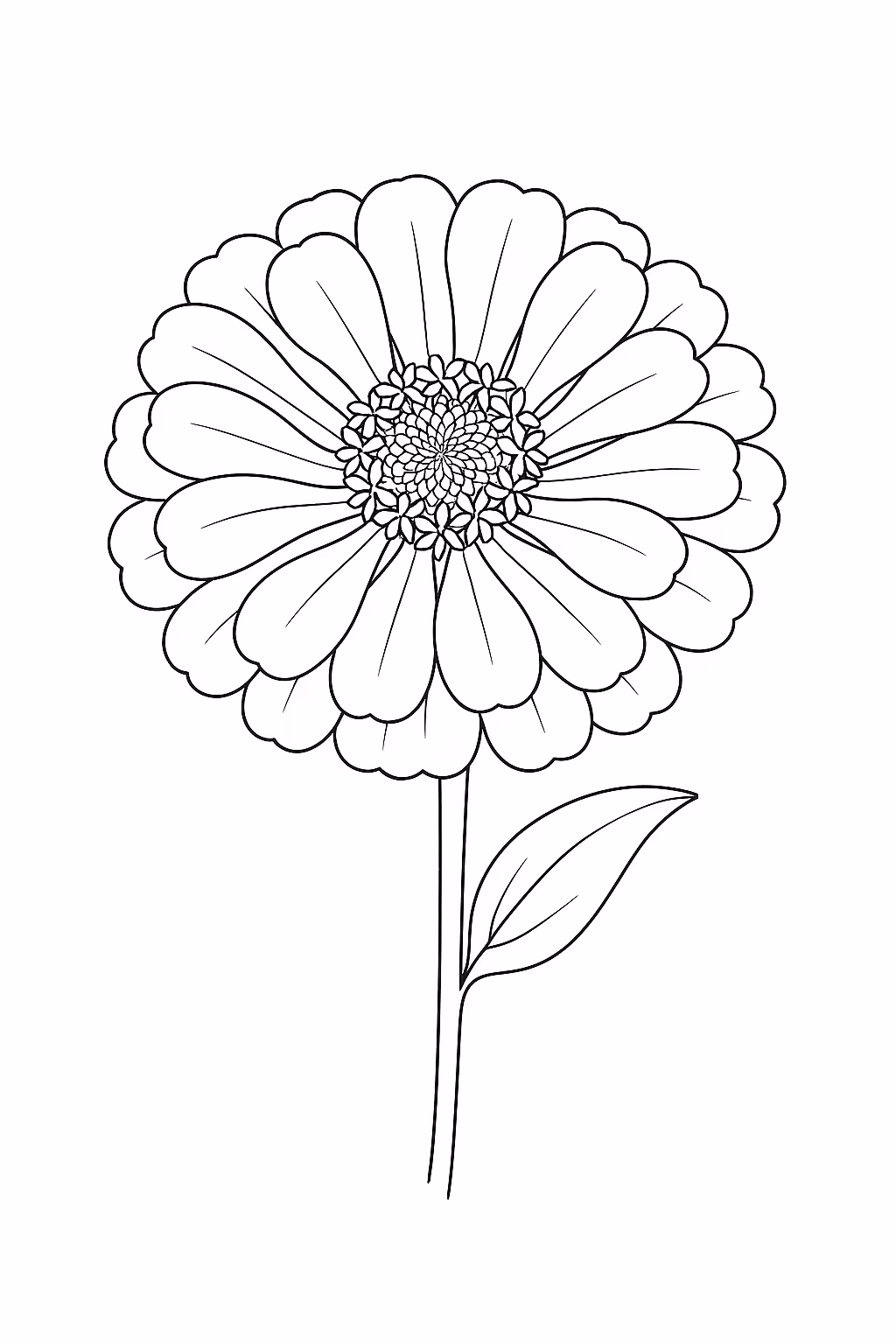 Flor zinnia min para colorir — desenho para imprimir