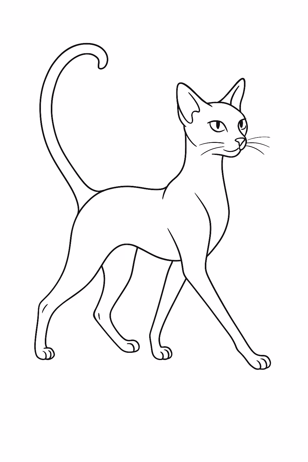 Gato gato magro para colorir — desenho para imprimir