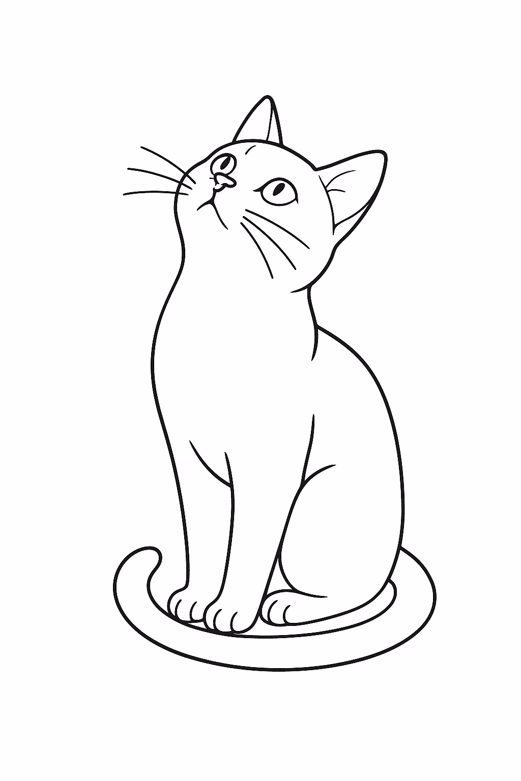 Gato gato olhando cima para colorir — desenho para imprimir
