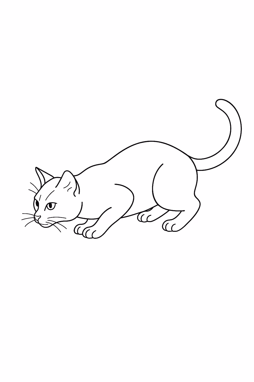 Gato gato agachado para colorir — desenho para imprimir