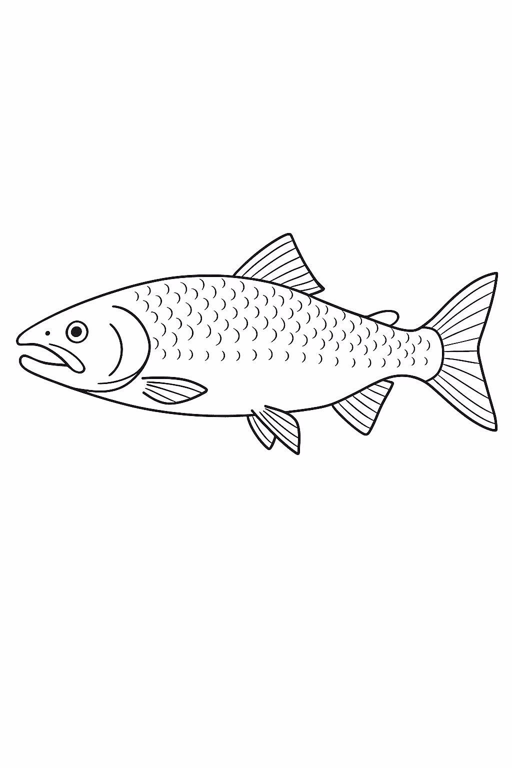 Peixe salmao para colorir — desenho para imprimir