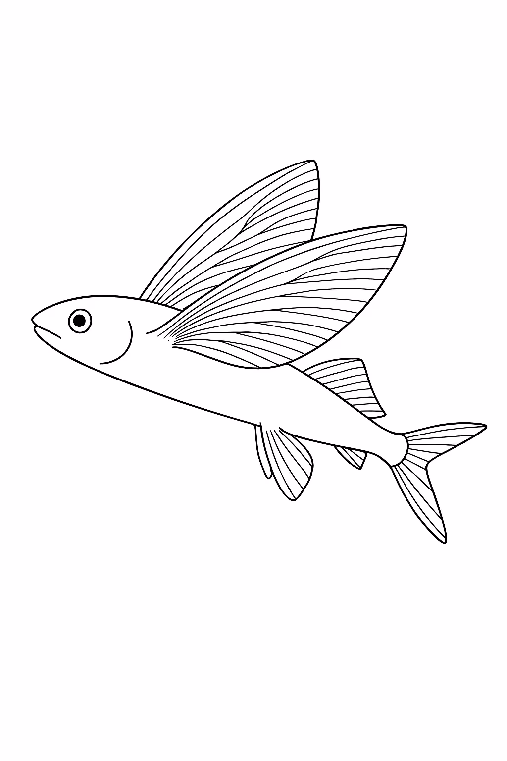 Peixe peixe voador para colorir — desenho para imprimir