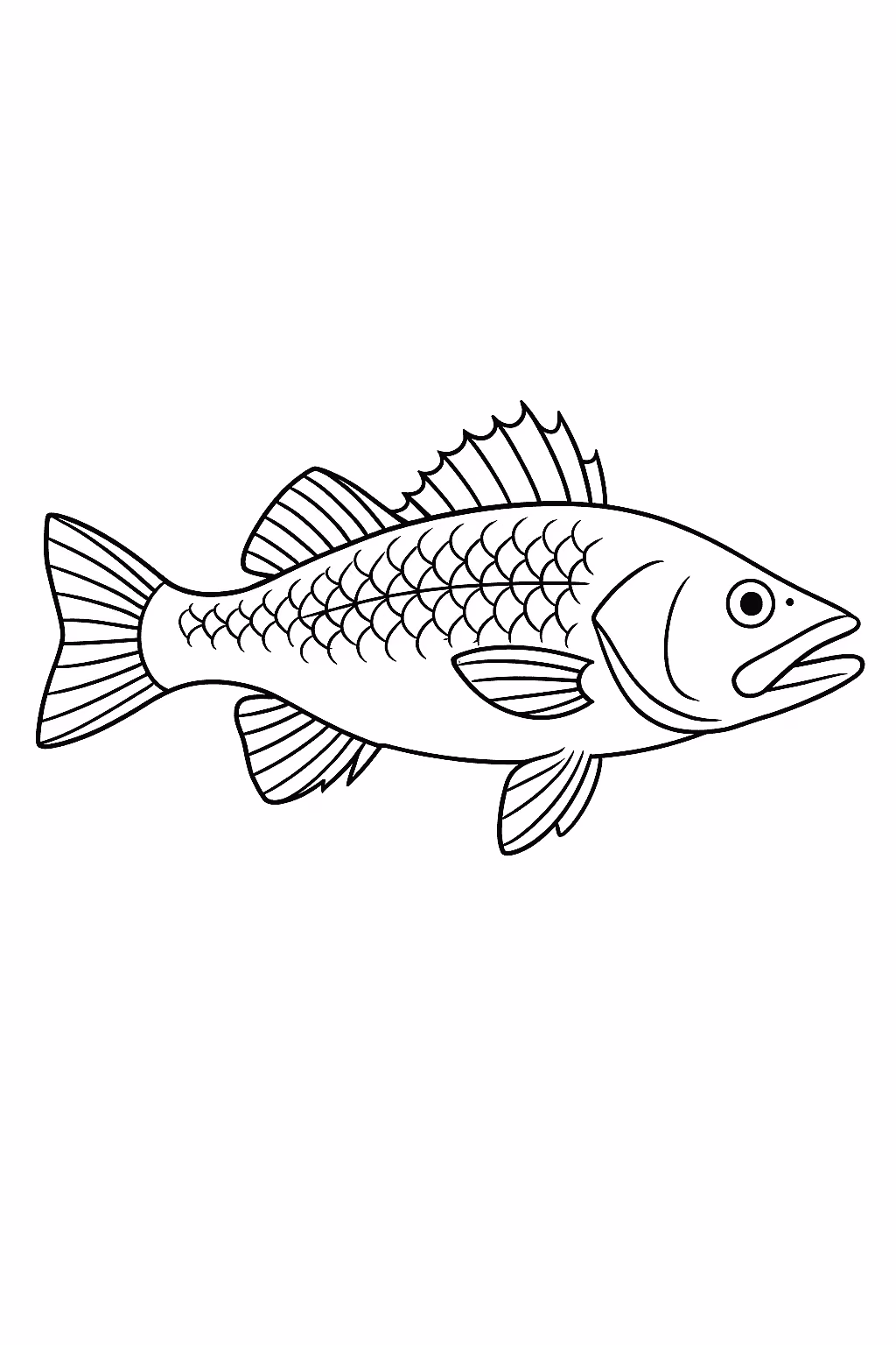Peixe robalo para colorir — desenho para imprimir