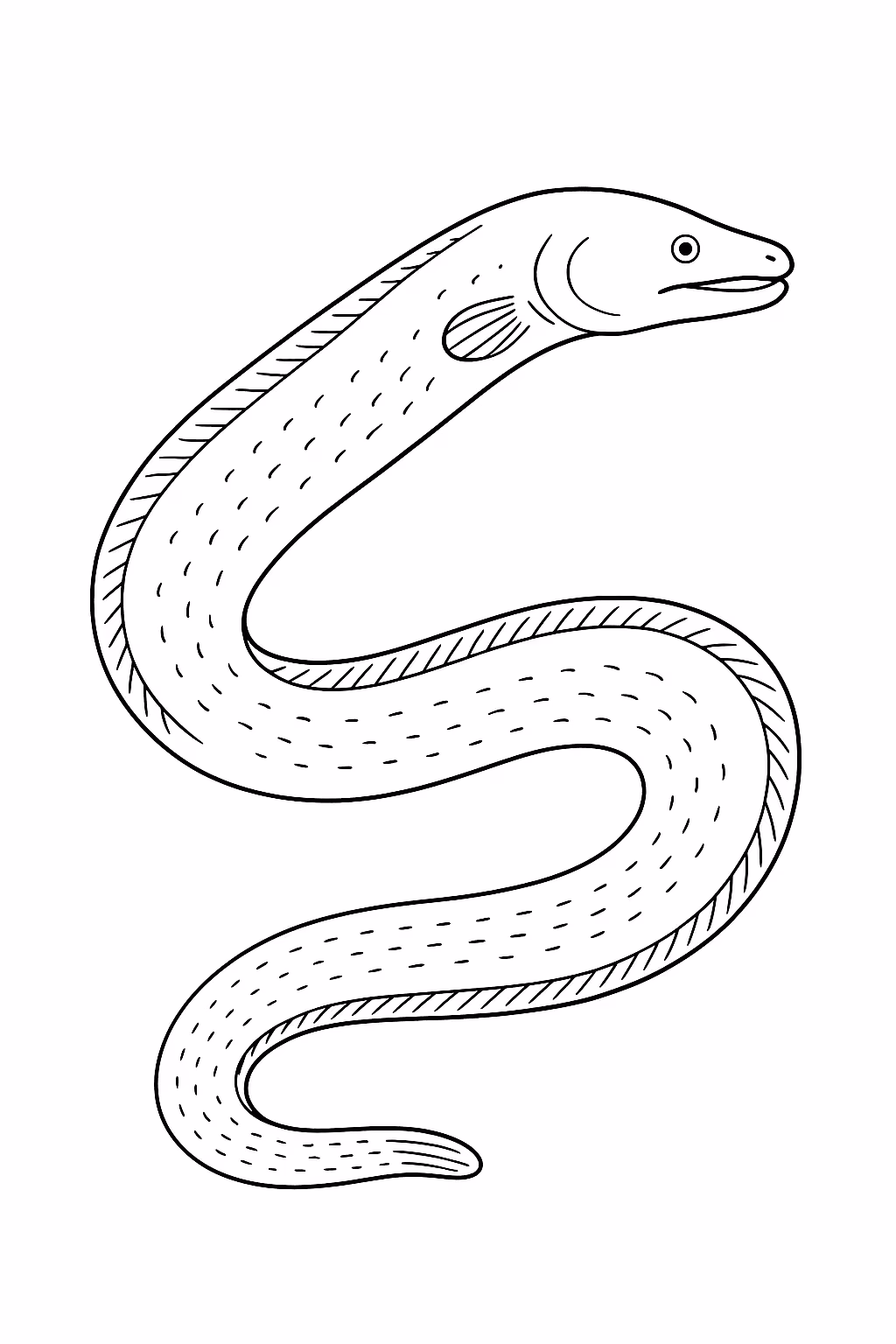 Peixe enguia para colorir — desenho para imprimir