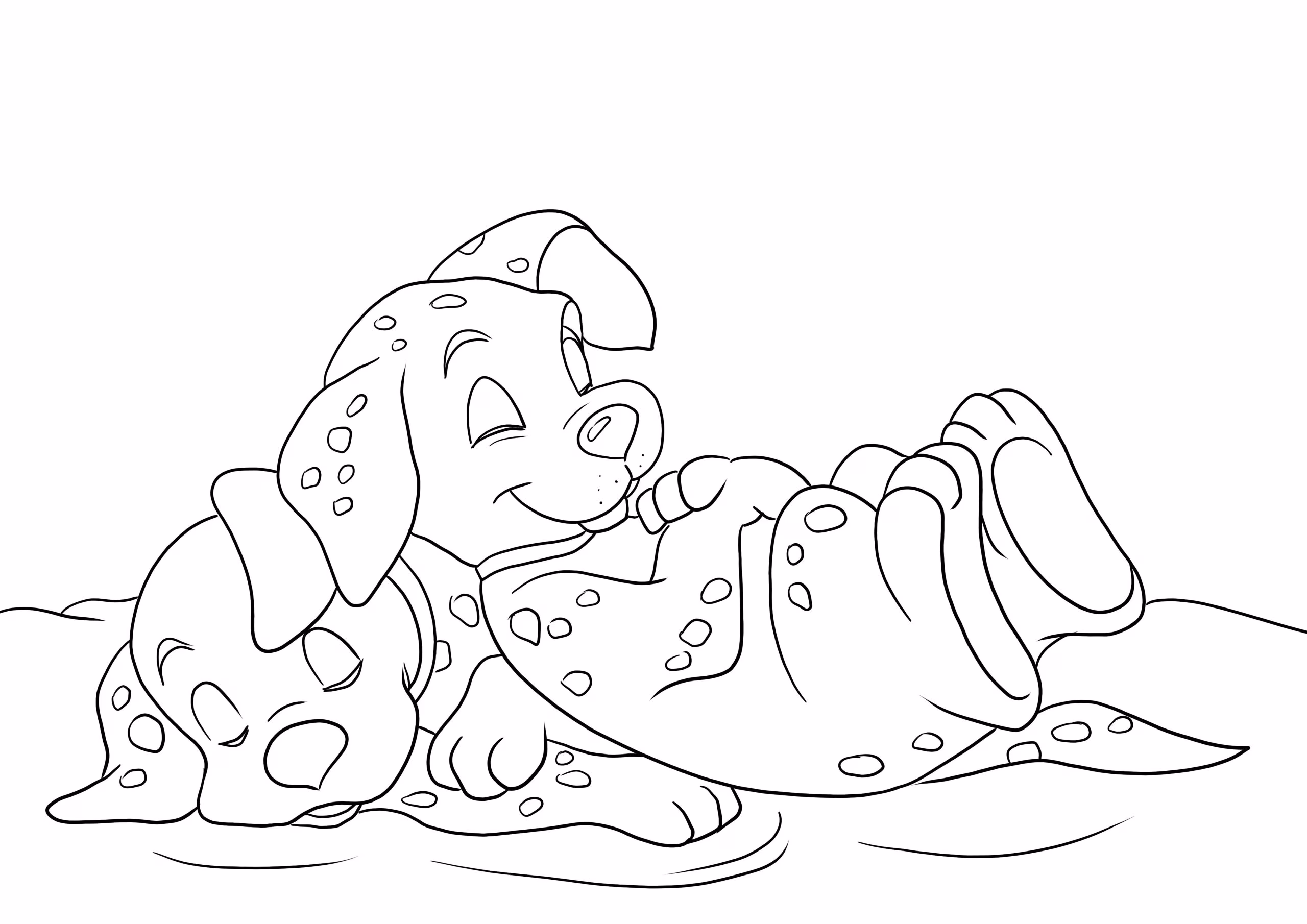 Dalmatas e para colorir — desenho para imprimir