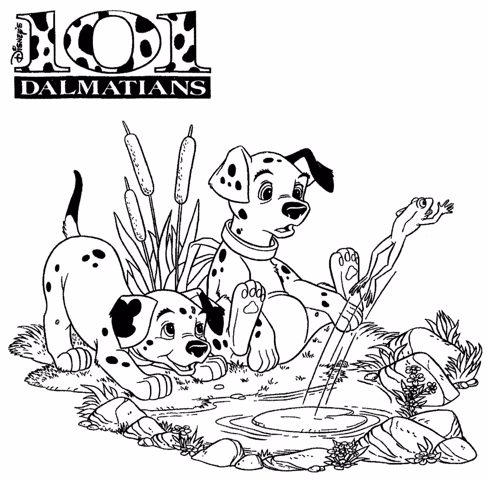 Dalmatas e para colorir — desenho para imprimir