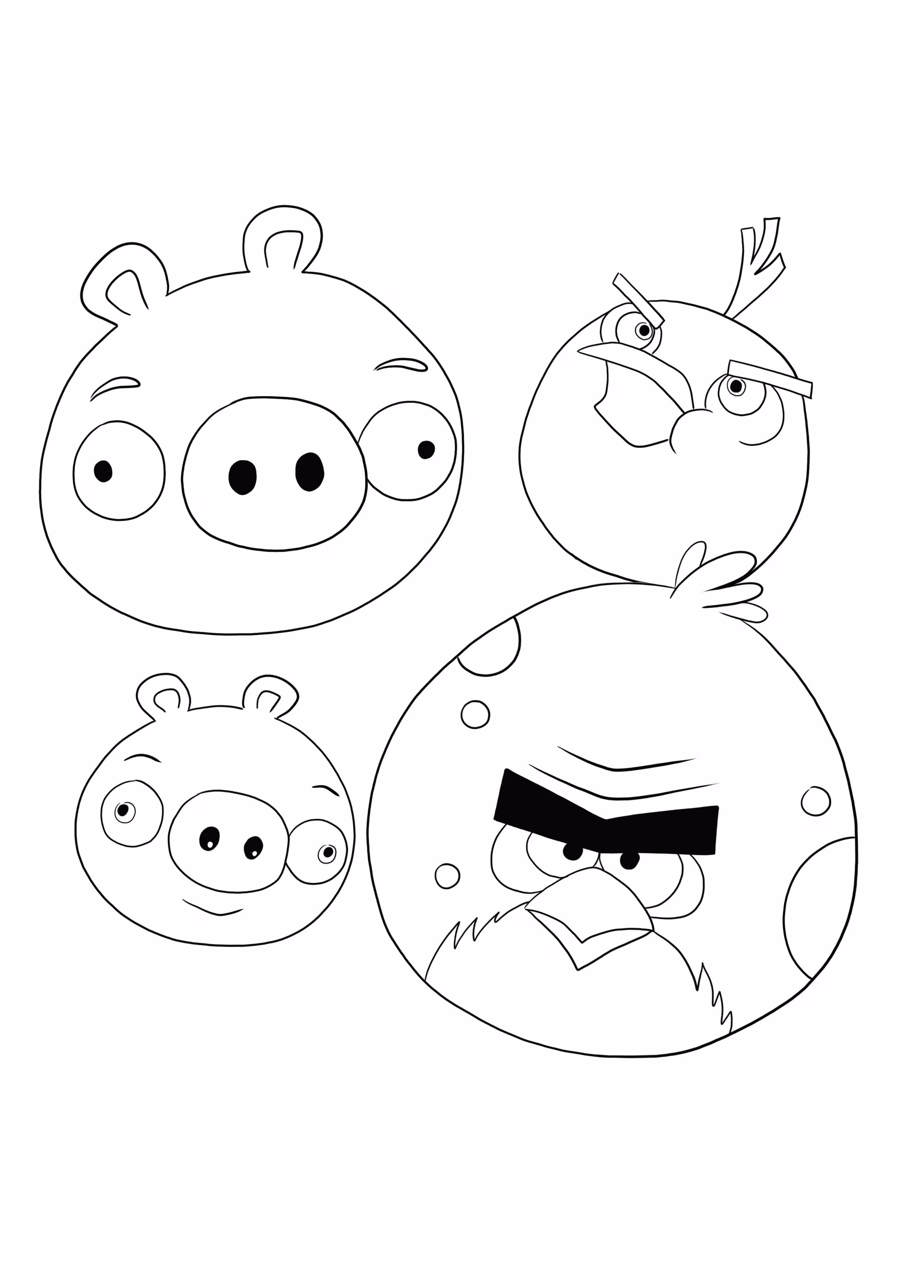Angry birds para colorir — desenho para imprimir
