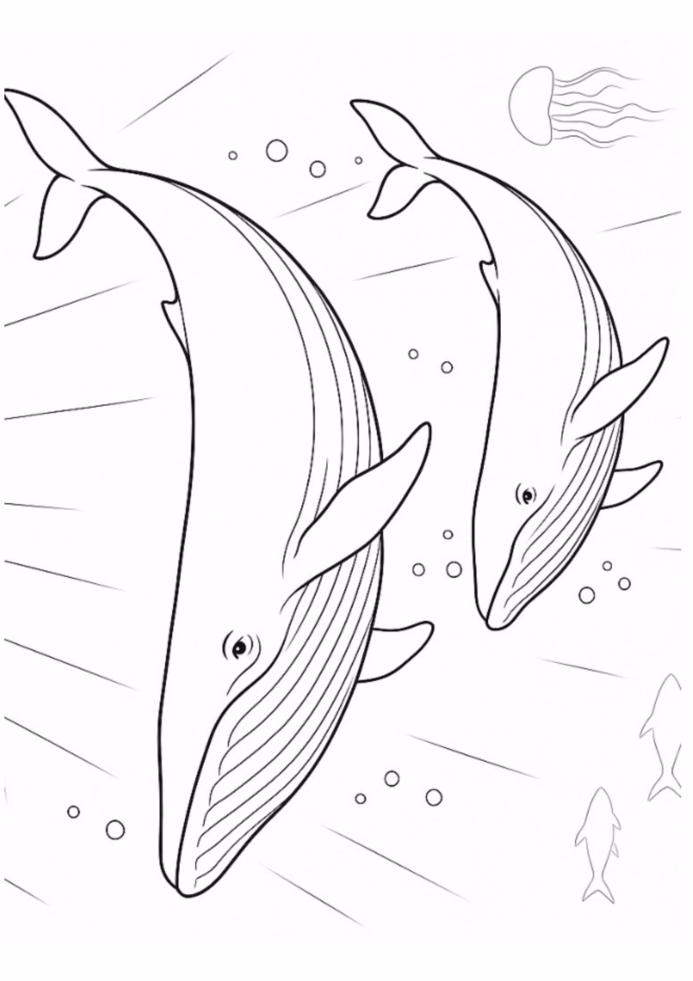 Baleias e para colorir — desenho para imprimir