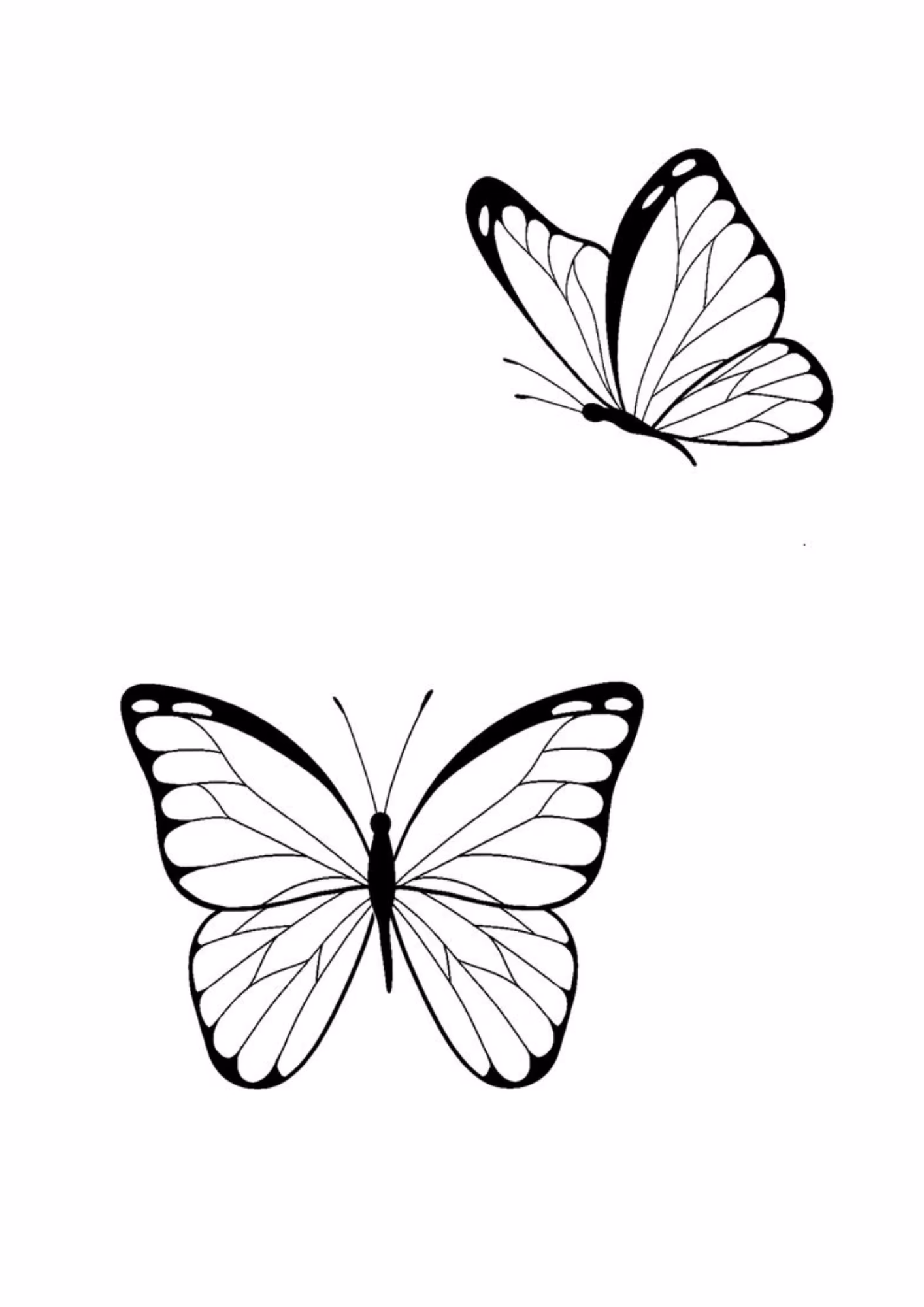 Borboleta e para colorir — desenho para imprimir
