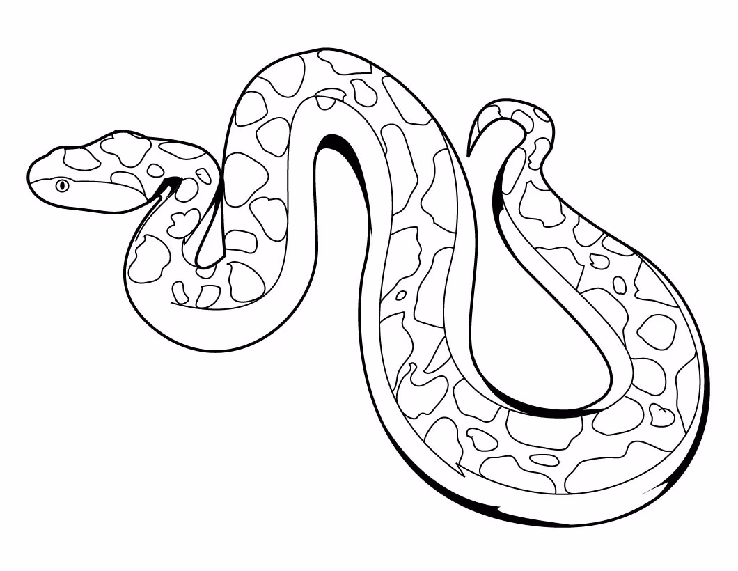 Cobra para colorir — desenho para imprimir