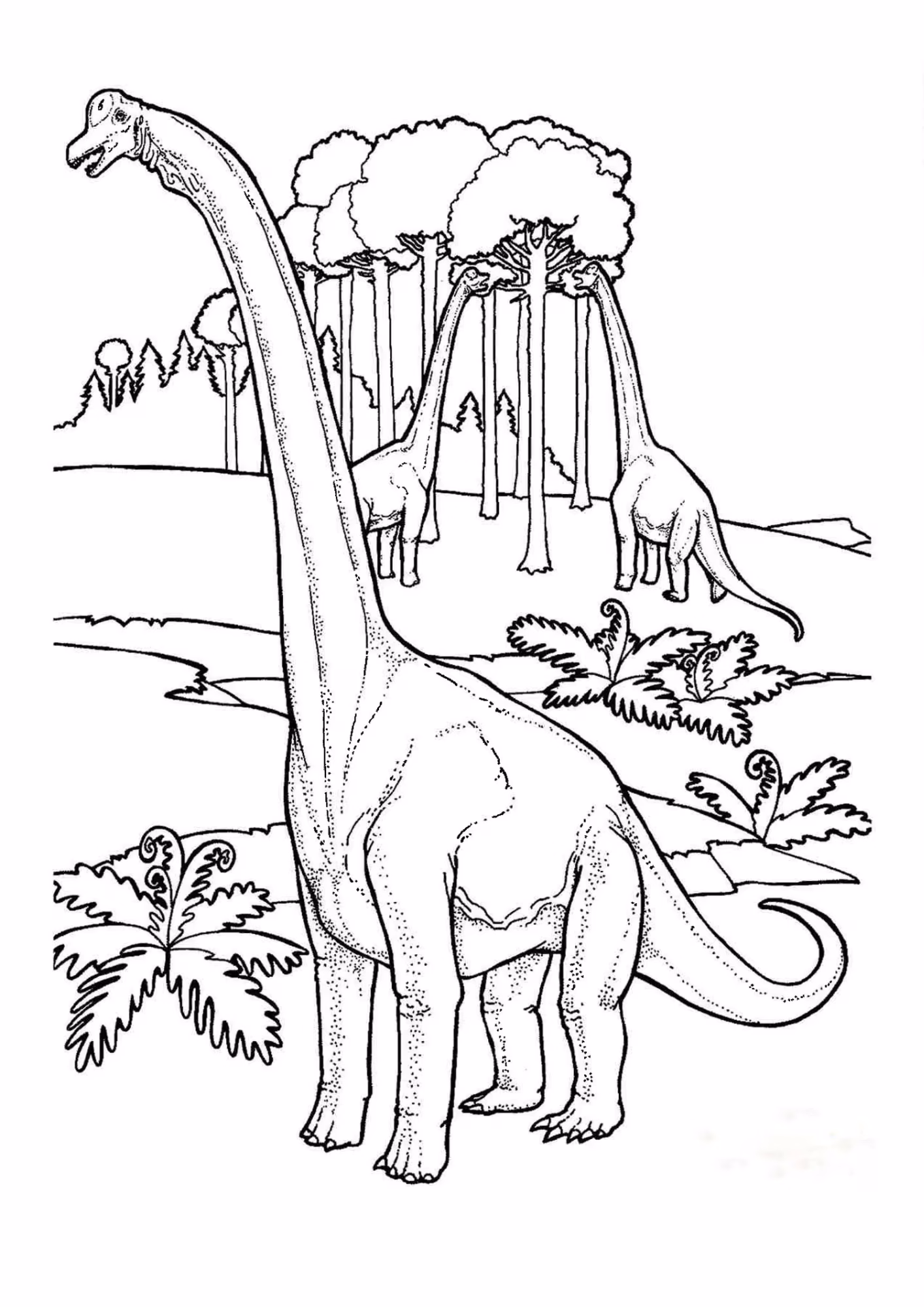Dinossauro e para colorir — desenho para imprimir