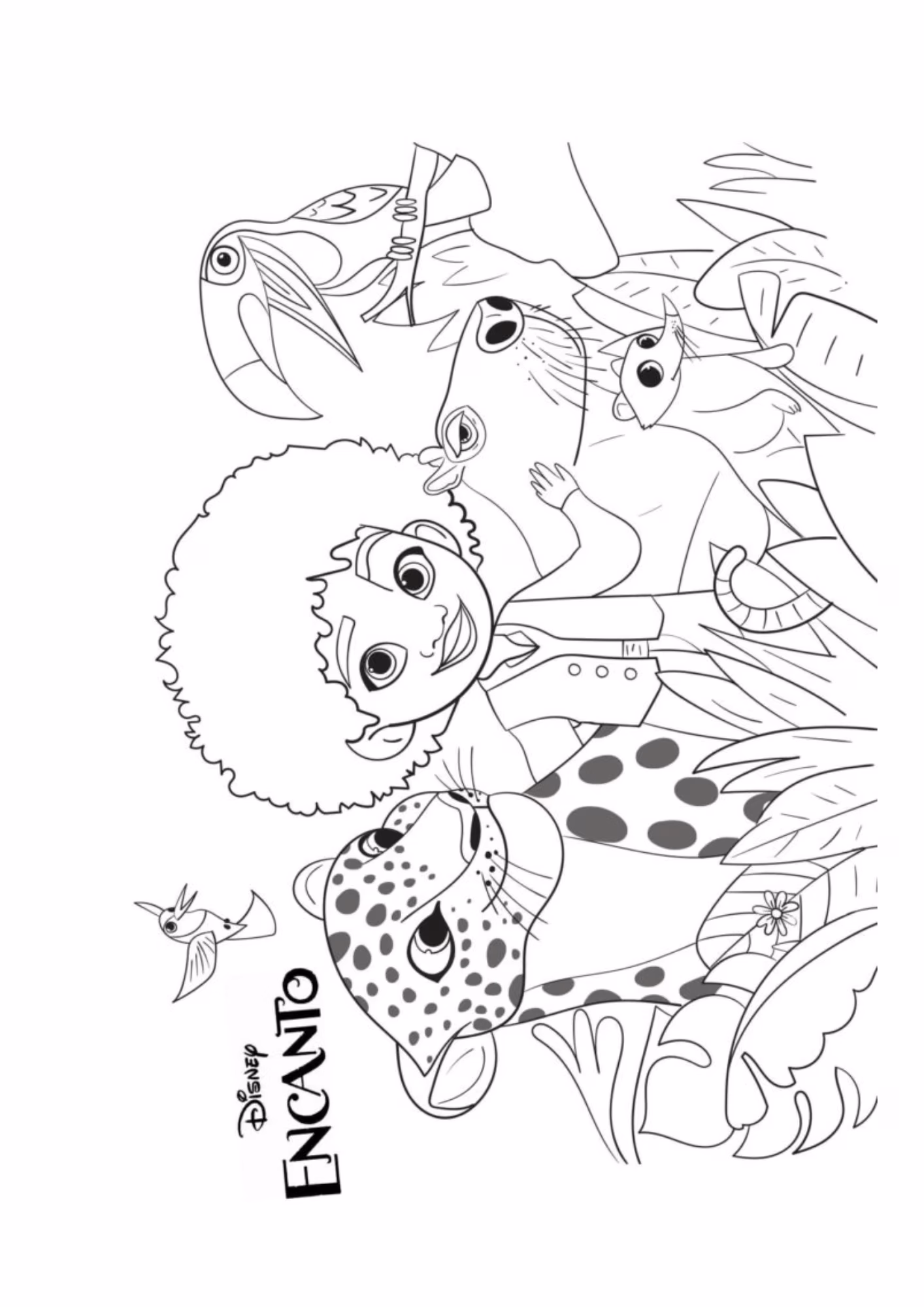 Encanto e para colorir — desenho para imprimir