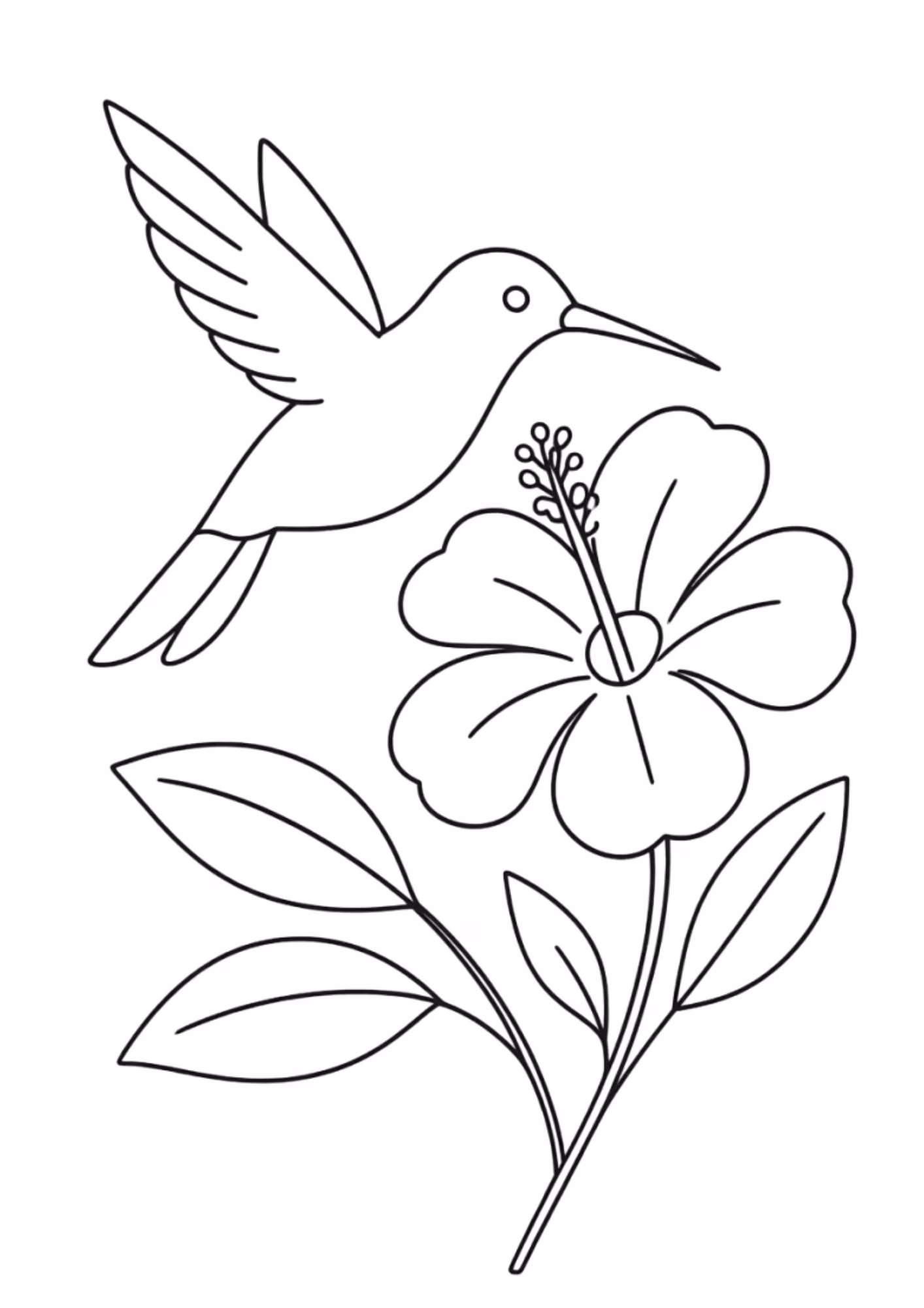 Beija flor e para colorir — desenho para imprimir