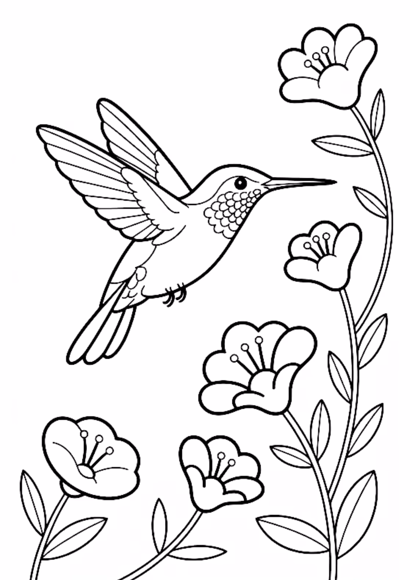 Beija flor e para colorir — desenho para imprimir