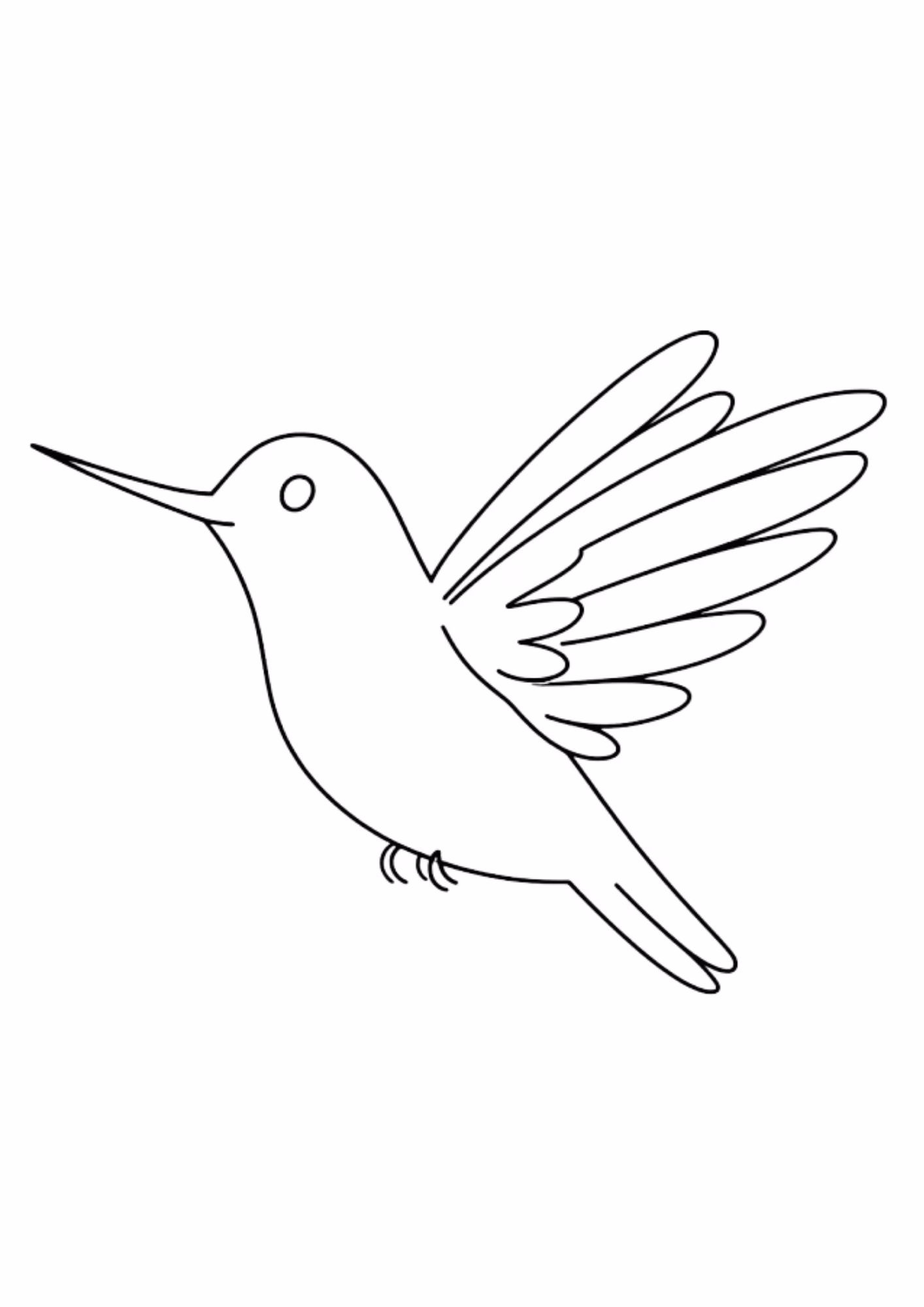 Beija flor e para colorir — desenho para imprimir