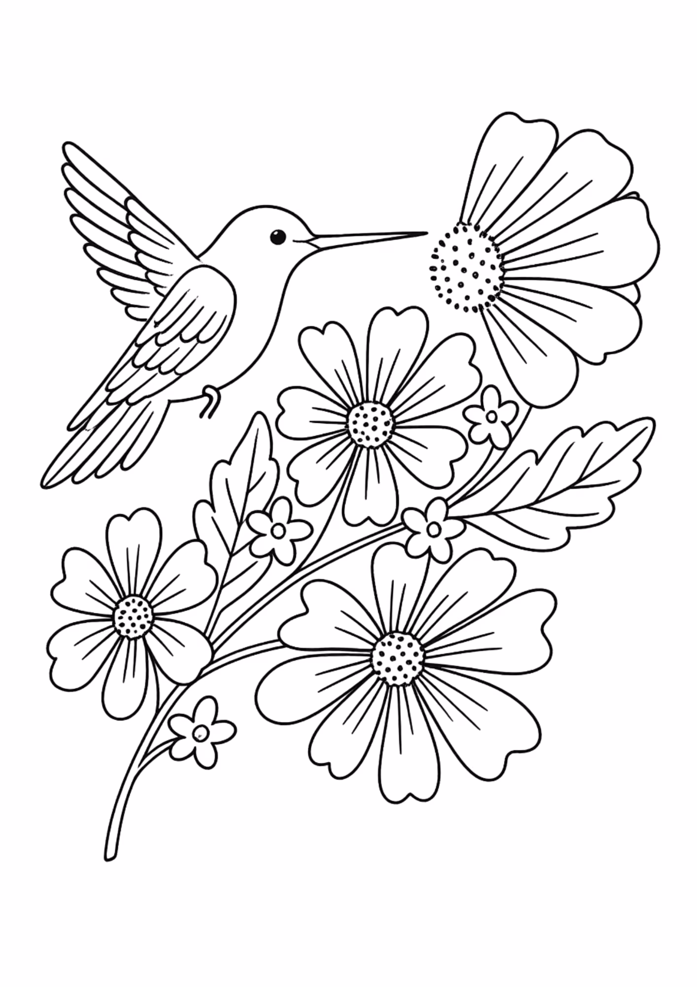 Beija flor e para colorir — desenho para imprimir