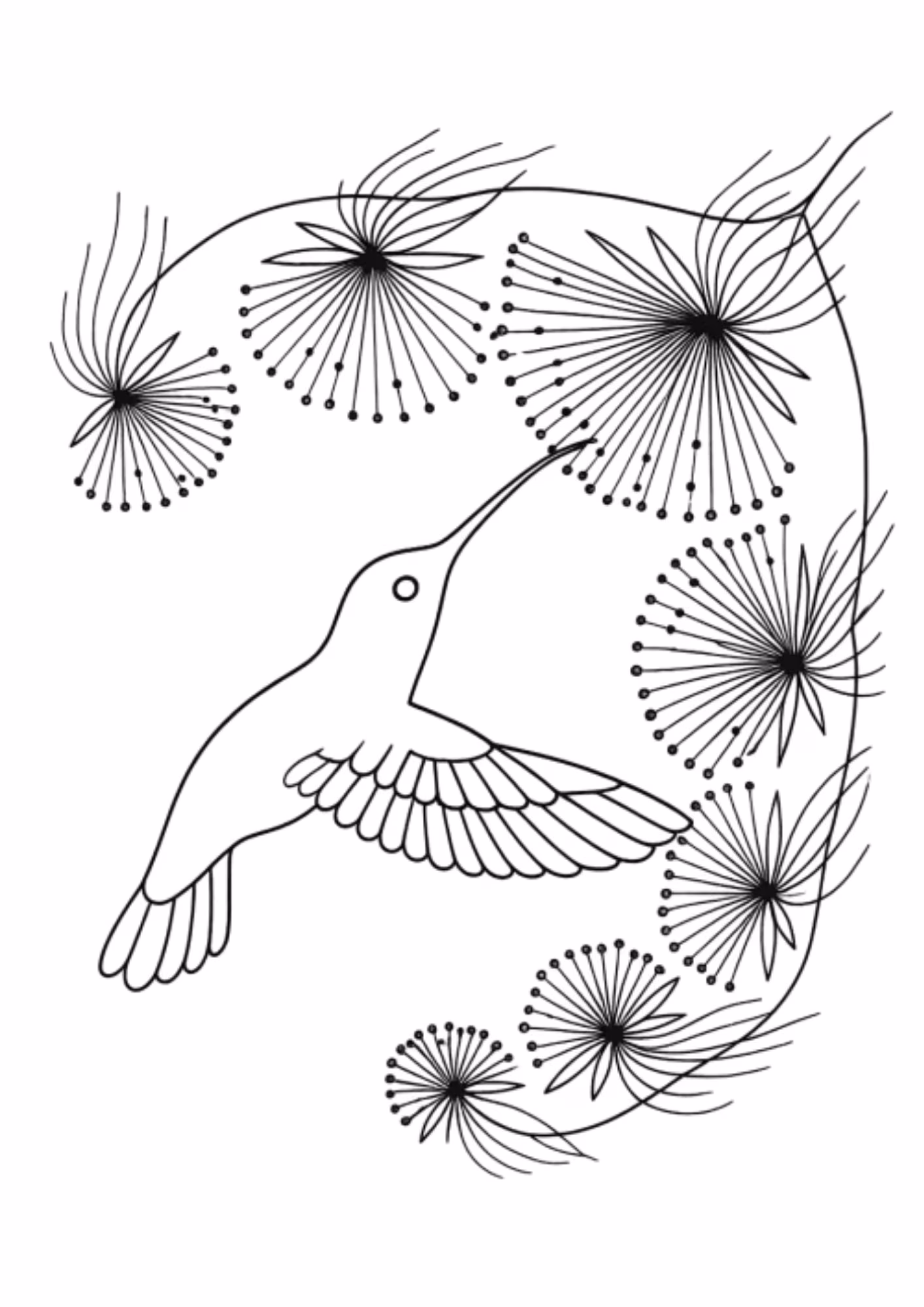 Beija flor e para colorir — desenho para imprimir