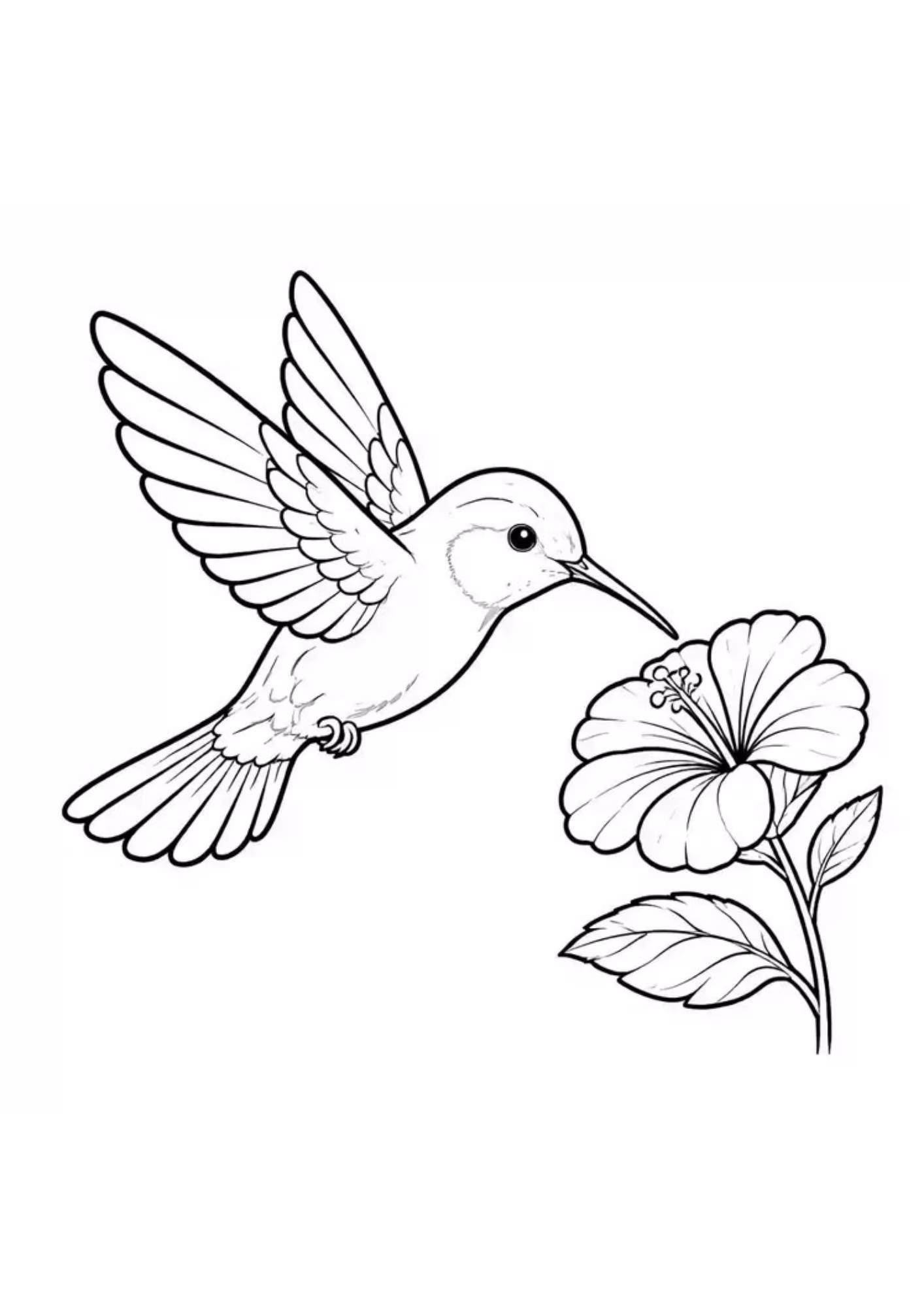 Beija flor e para colorir — desenho para imprimir