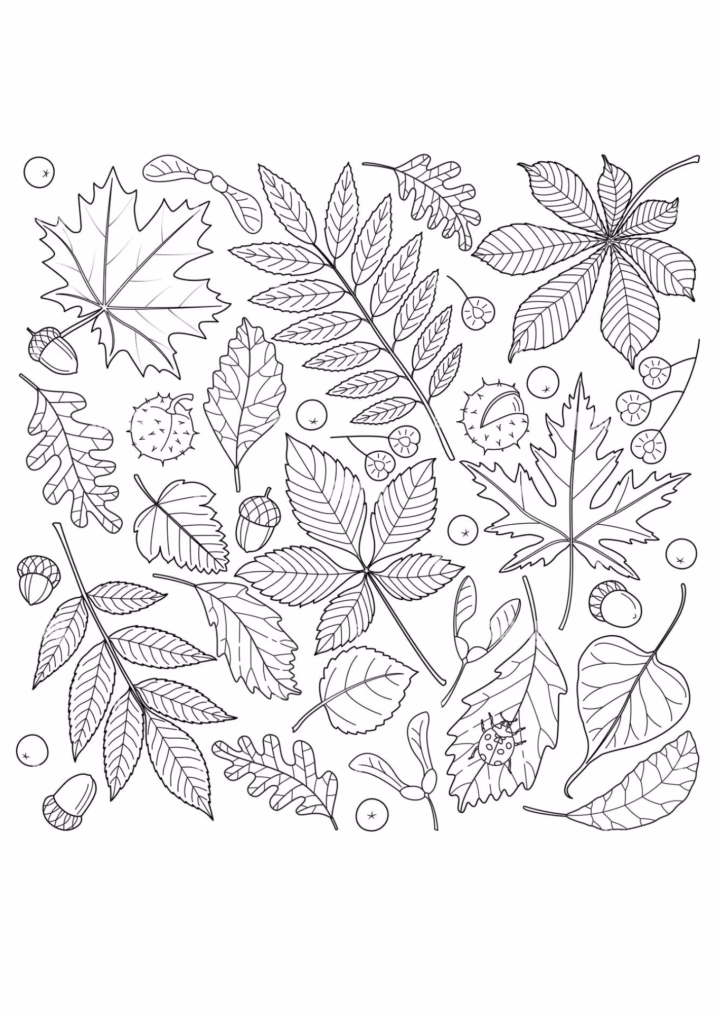 Folhas e para colorir — desenho para imprimir