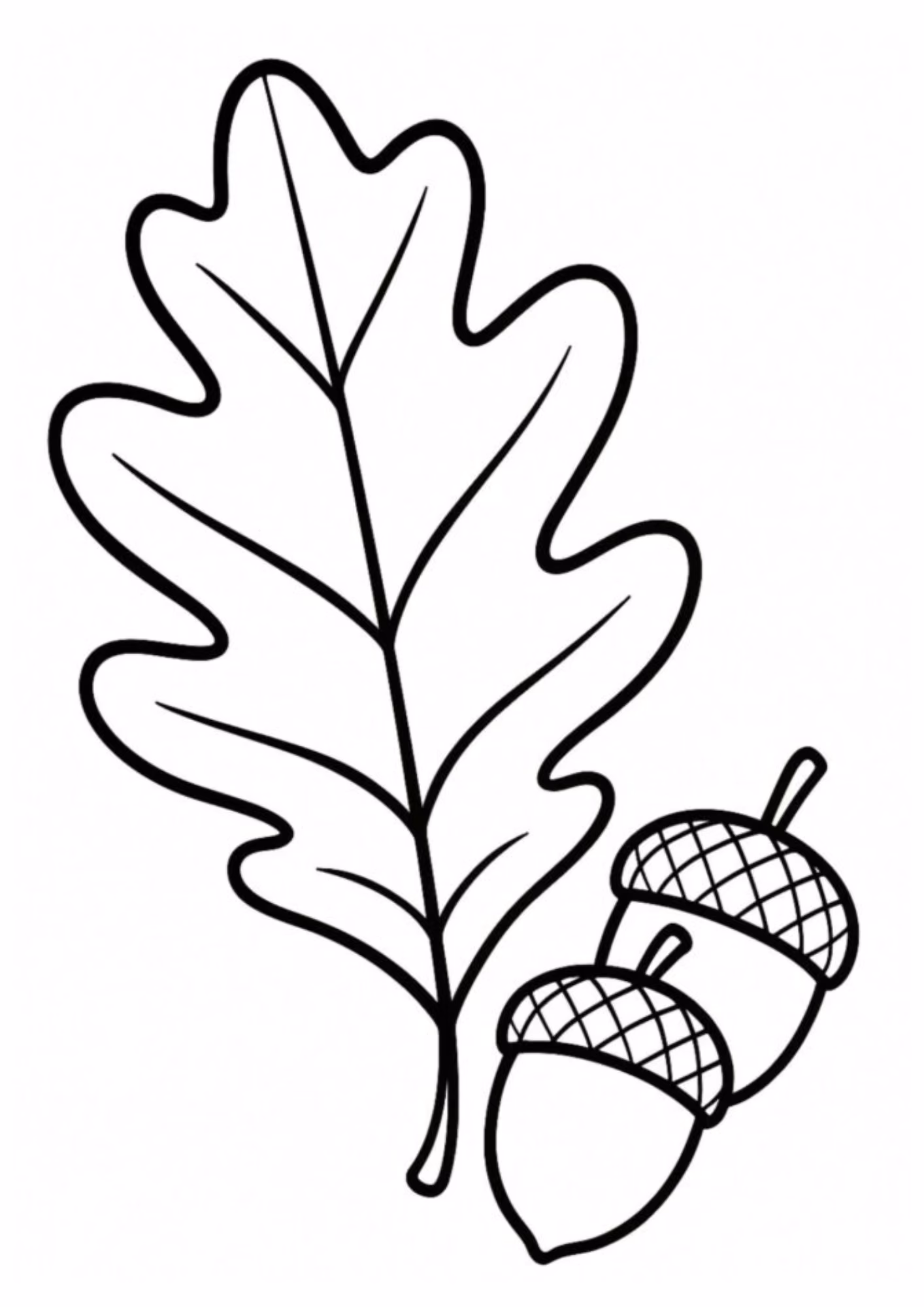 Folhas e para colorir — desenho para imprimir