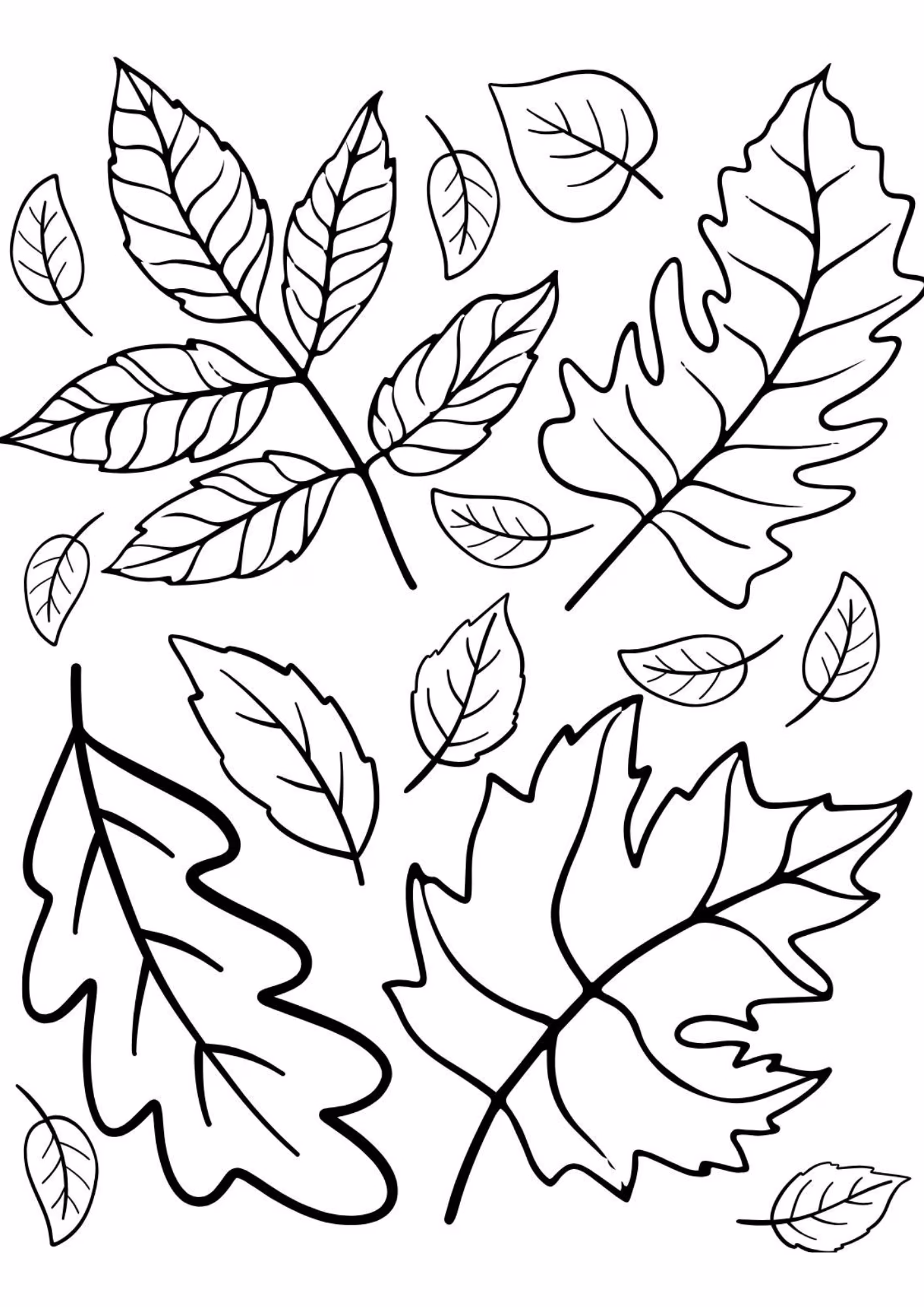 Folhas e para colorir — desenho para imprimir