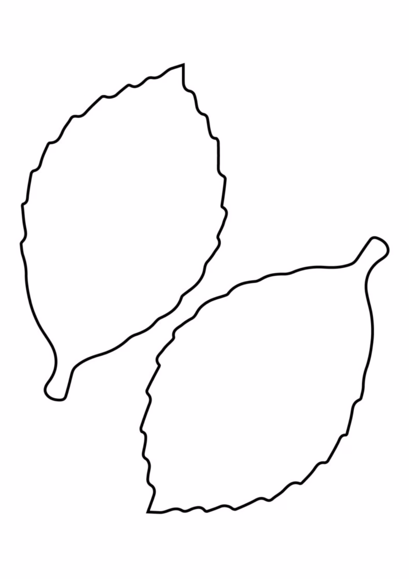 Folhas e para colorir — desenho para imprimir