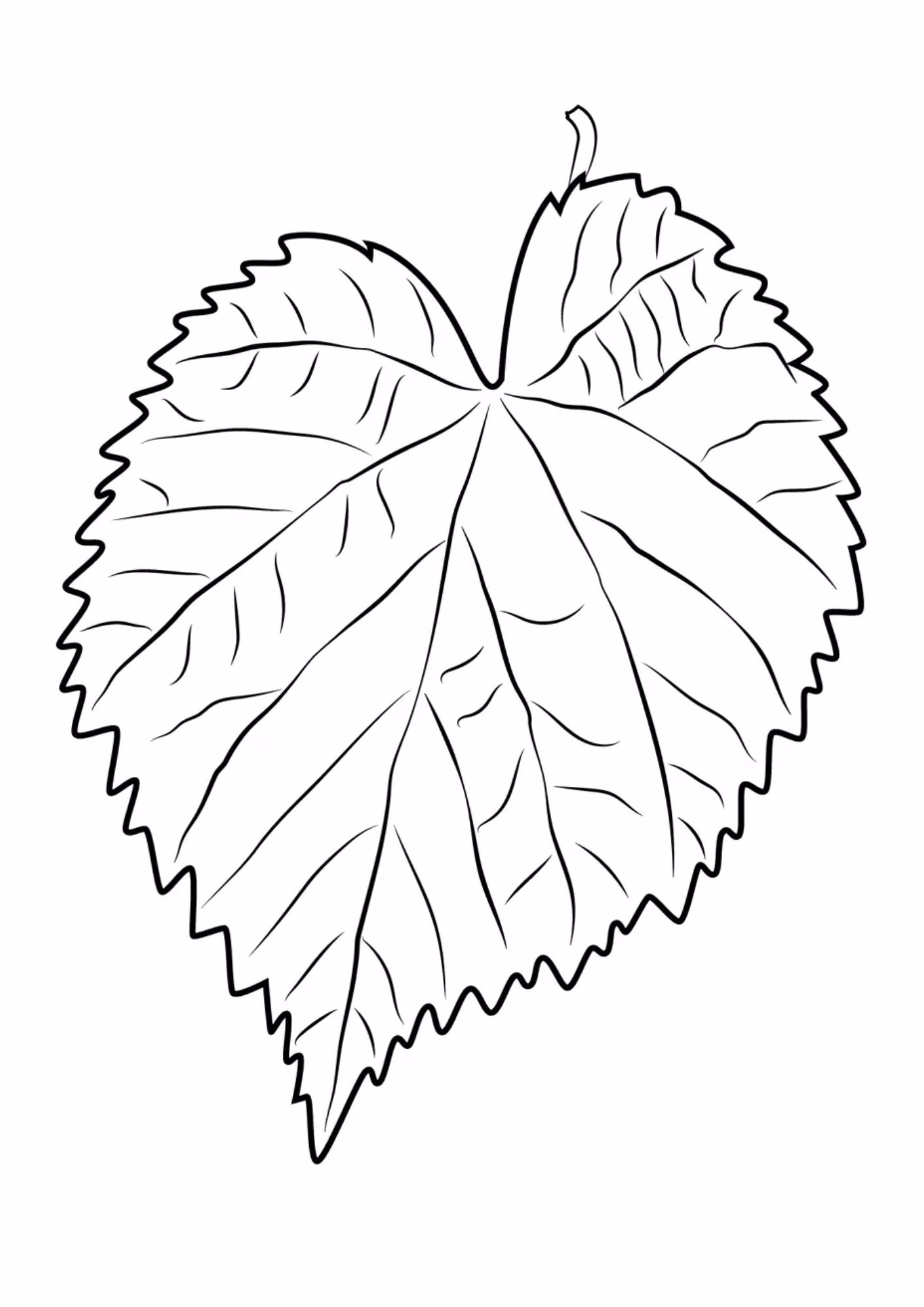 Folhas e para colorir — desenho para imprimir