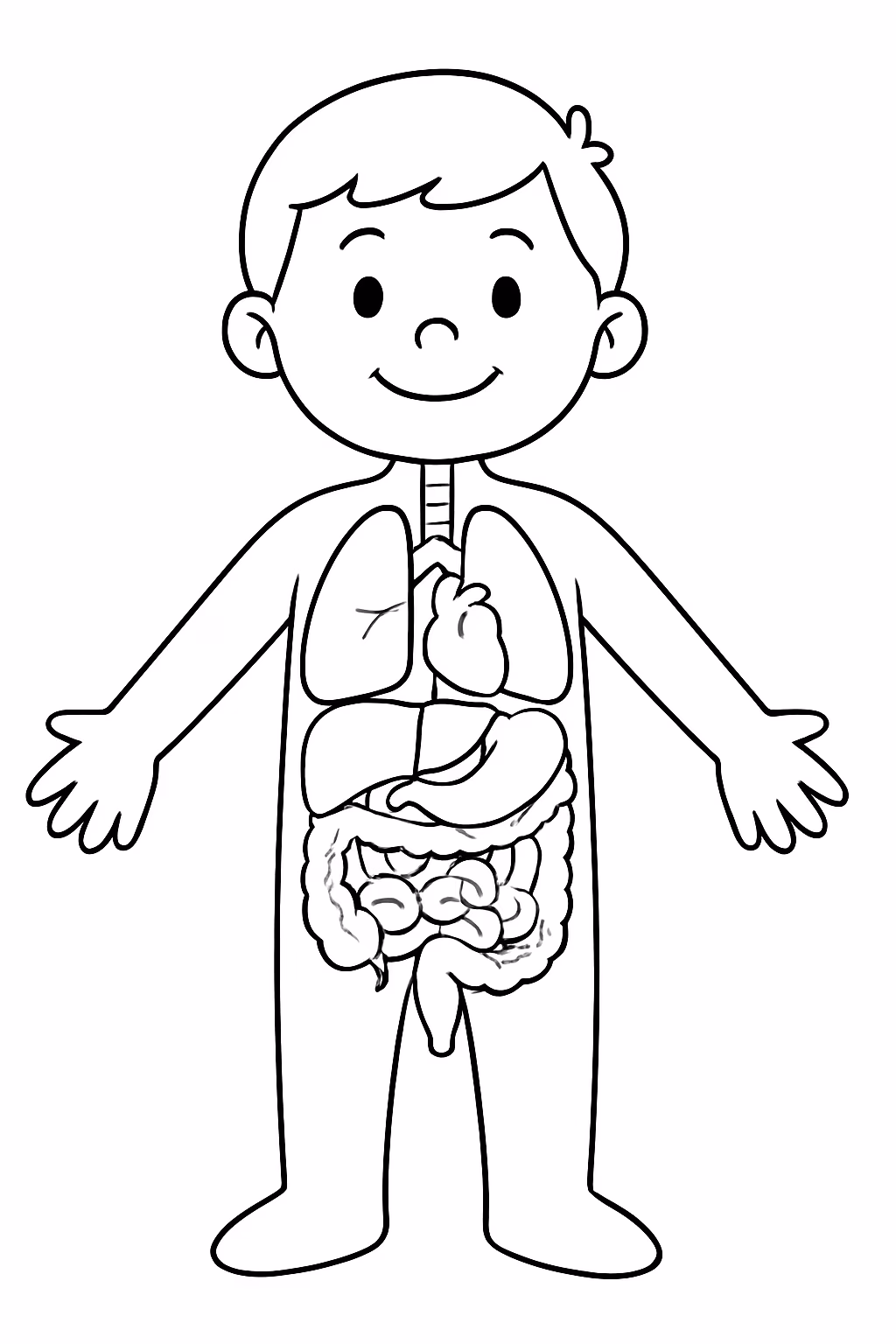 Dos orgaos do corpo humano para colorir — desenho para imprimir