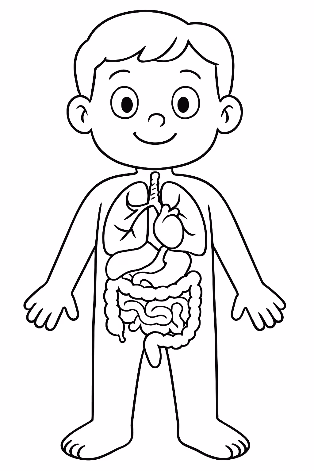 Um dos orgaos do corpo humano para colorir — desenho para imprimir