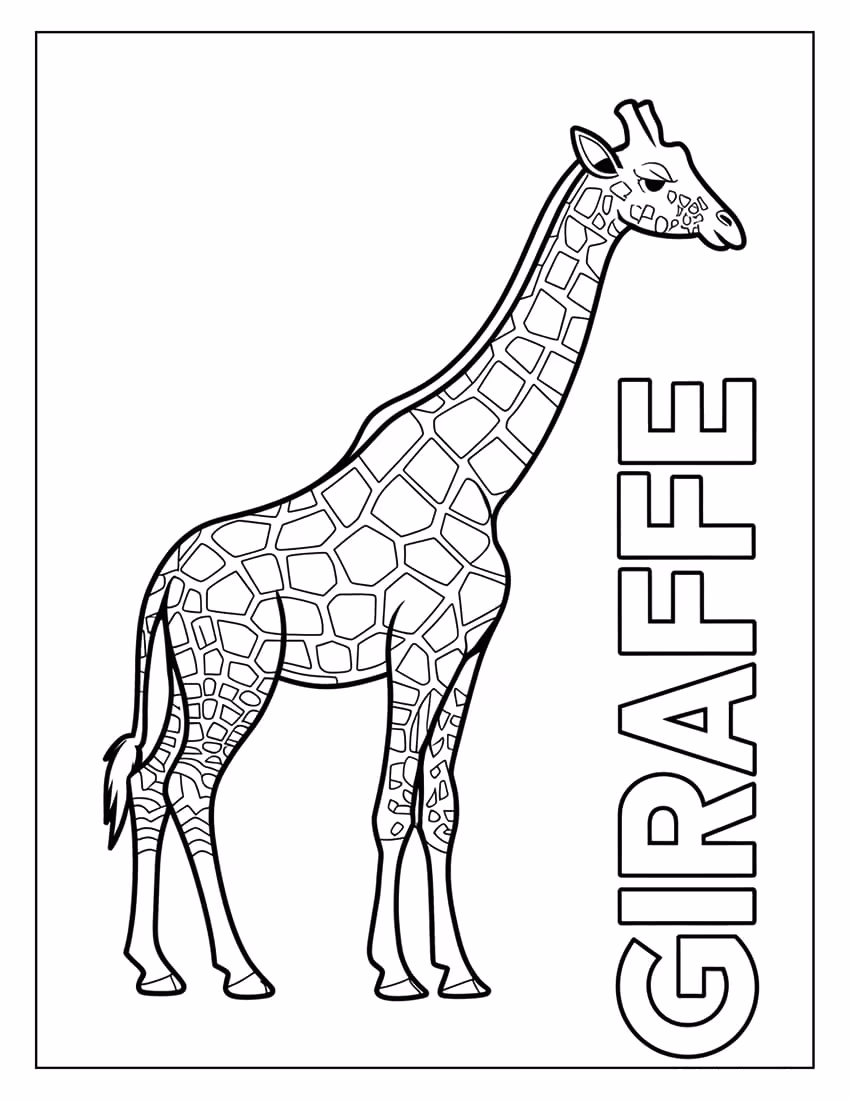 Girafas para colorir — desenho para imprimir