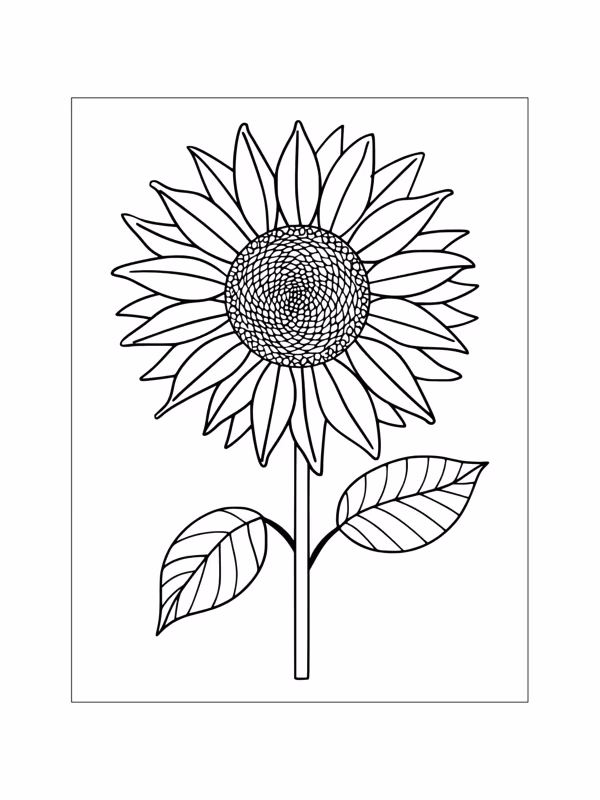 Girassol para colorir — desenho para imprimir
