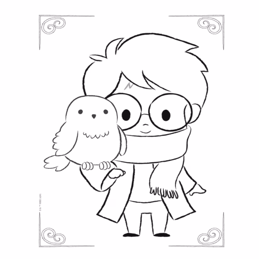 Harry potter para colorir — desenho para imprimir
