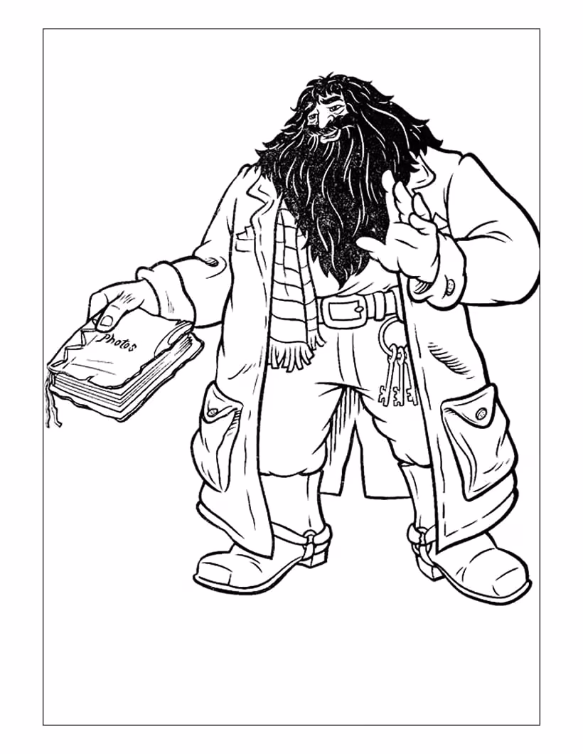 Harry potter para colorir — desenho para imprimir