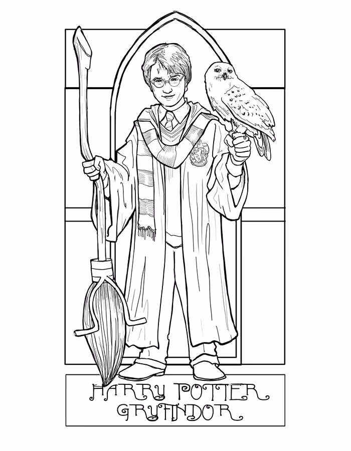 Harry potter para colorir — desenho para imprimir
