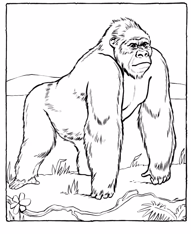 Macacos para colorir — desenho para imprimir